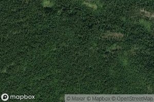 Paloshchel'skaya Pol'yuga