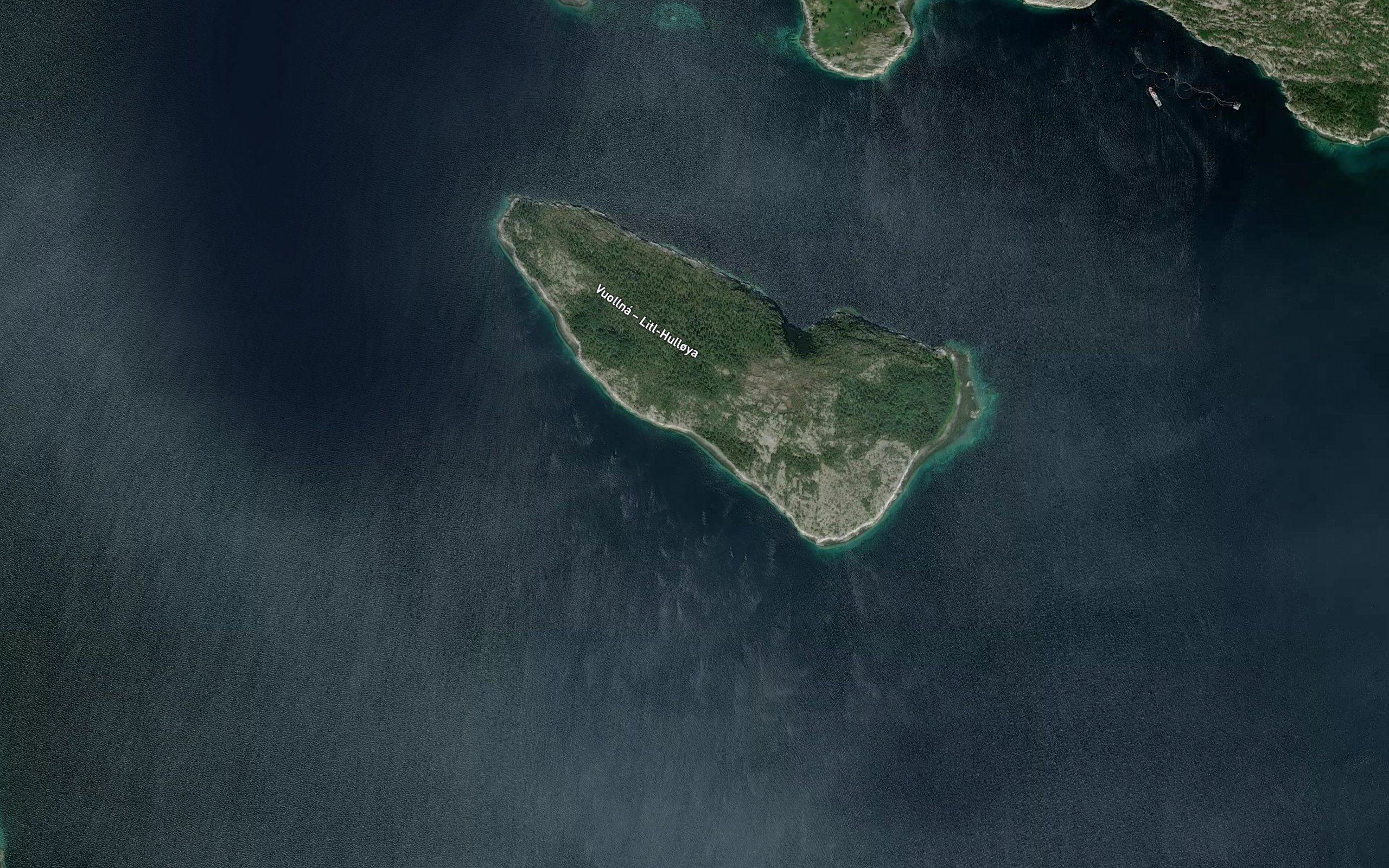 Kivika