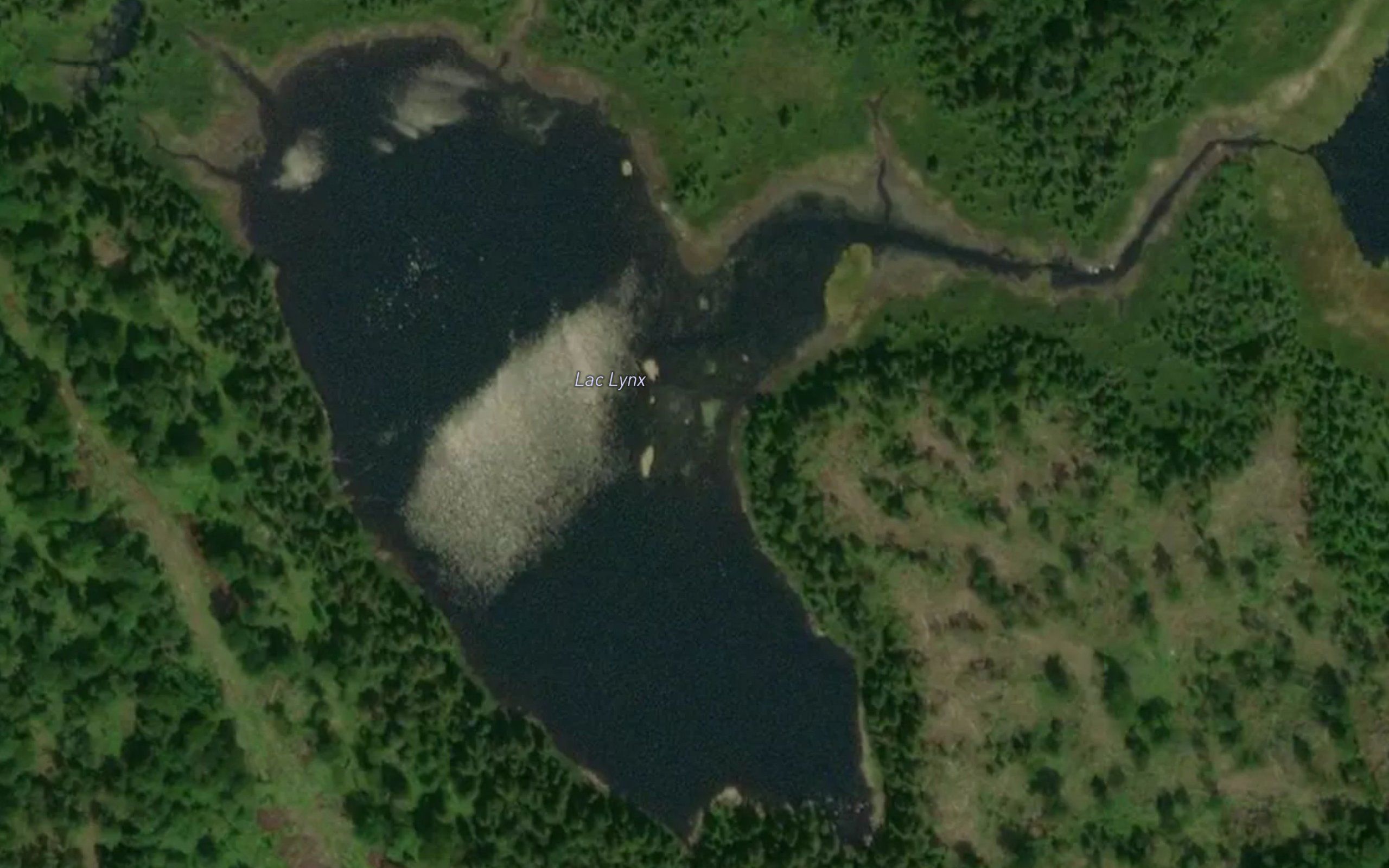 Lac Lynx