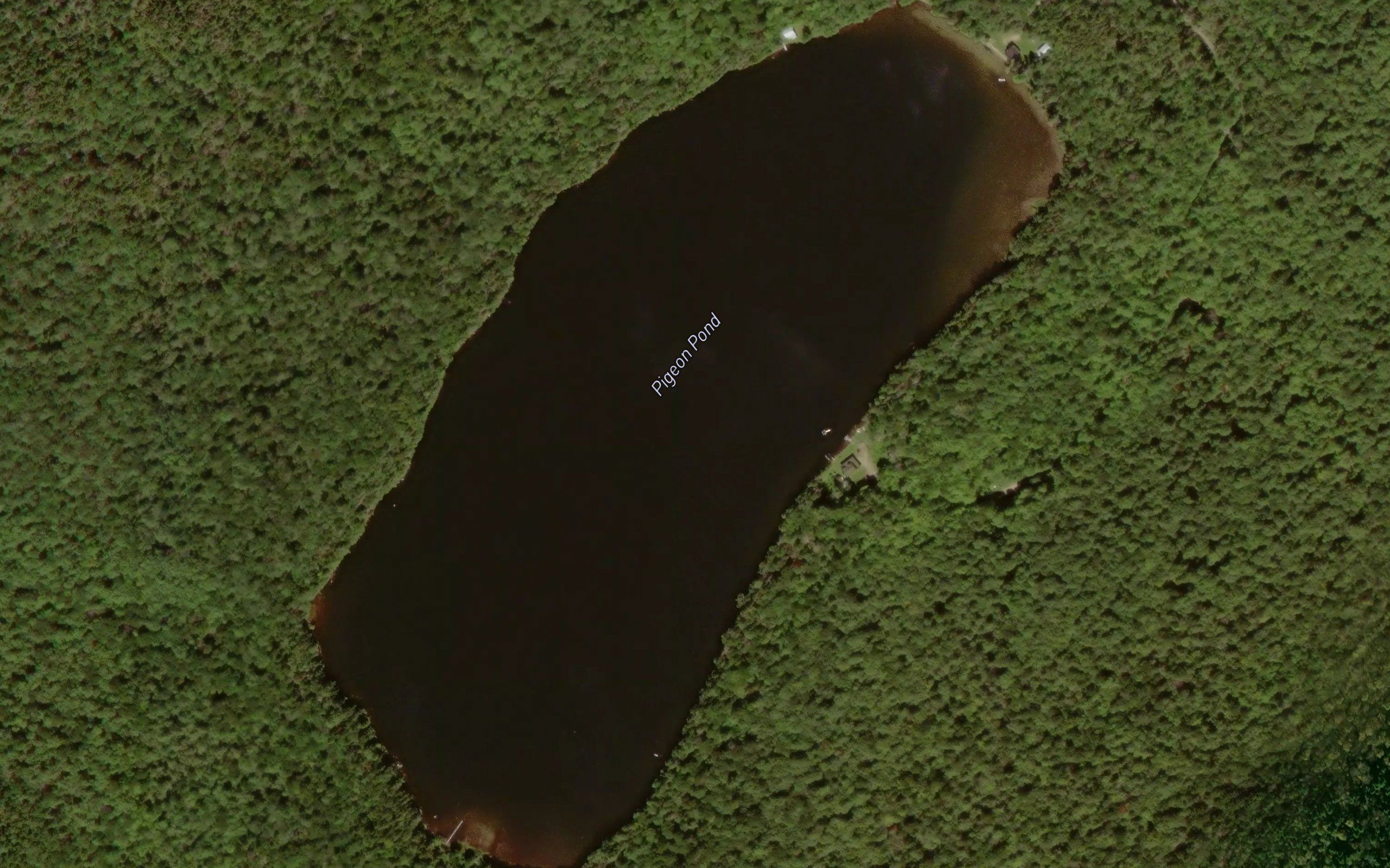 Pigeon Pond