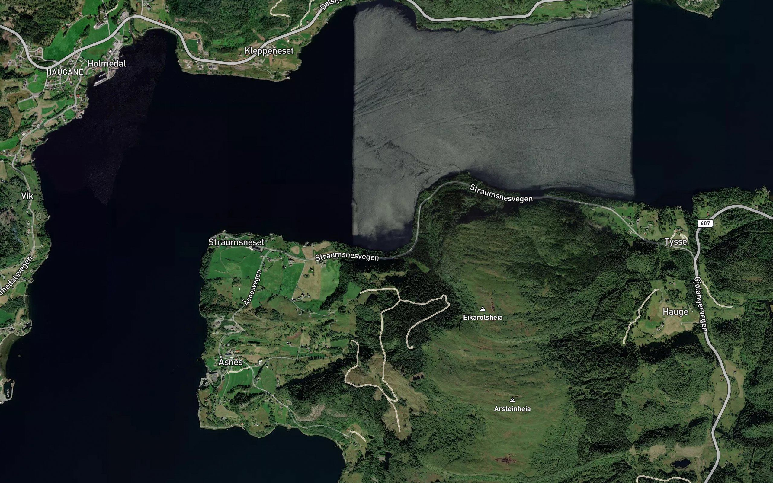 Asnesvika