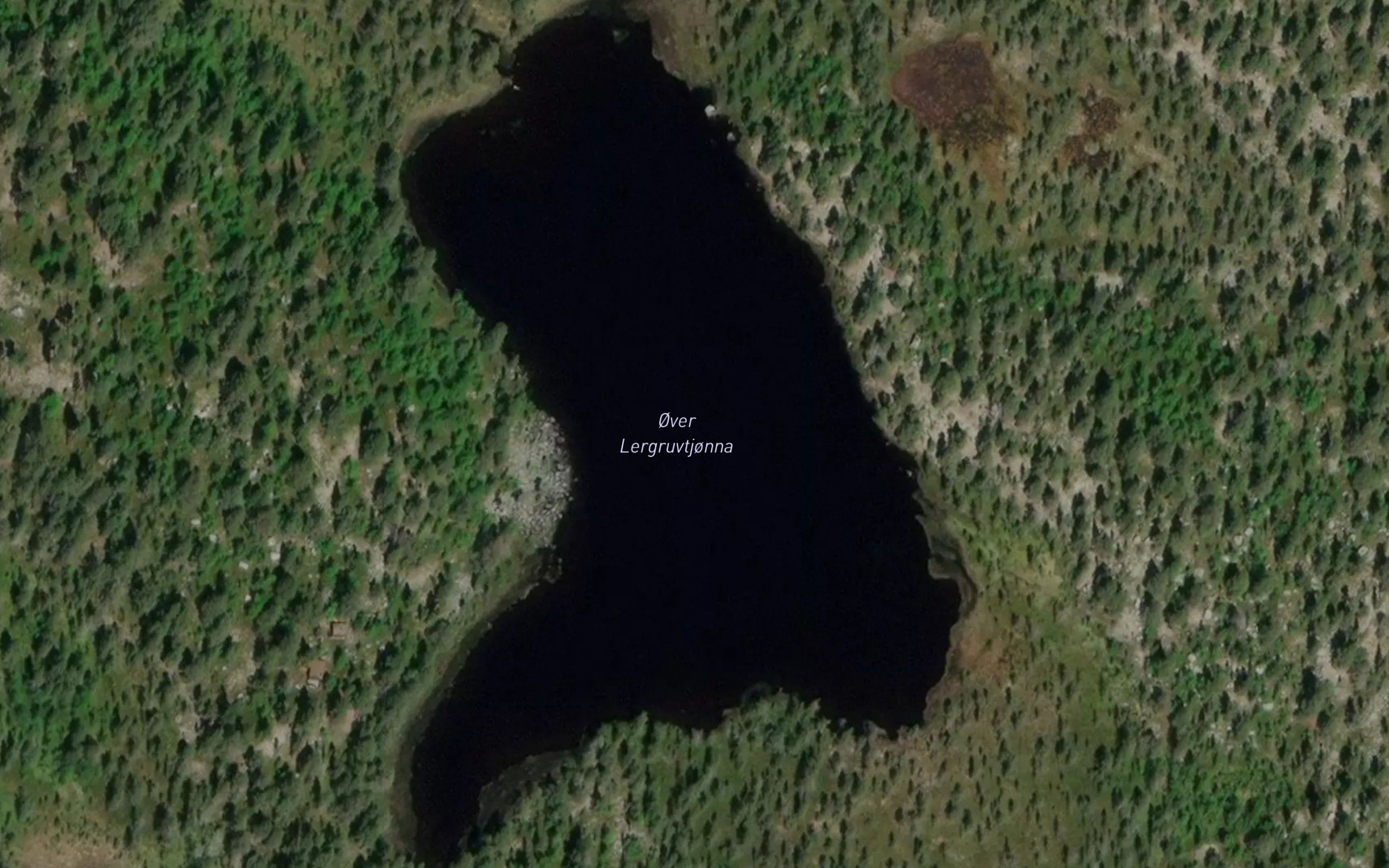 Leirviktjornane