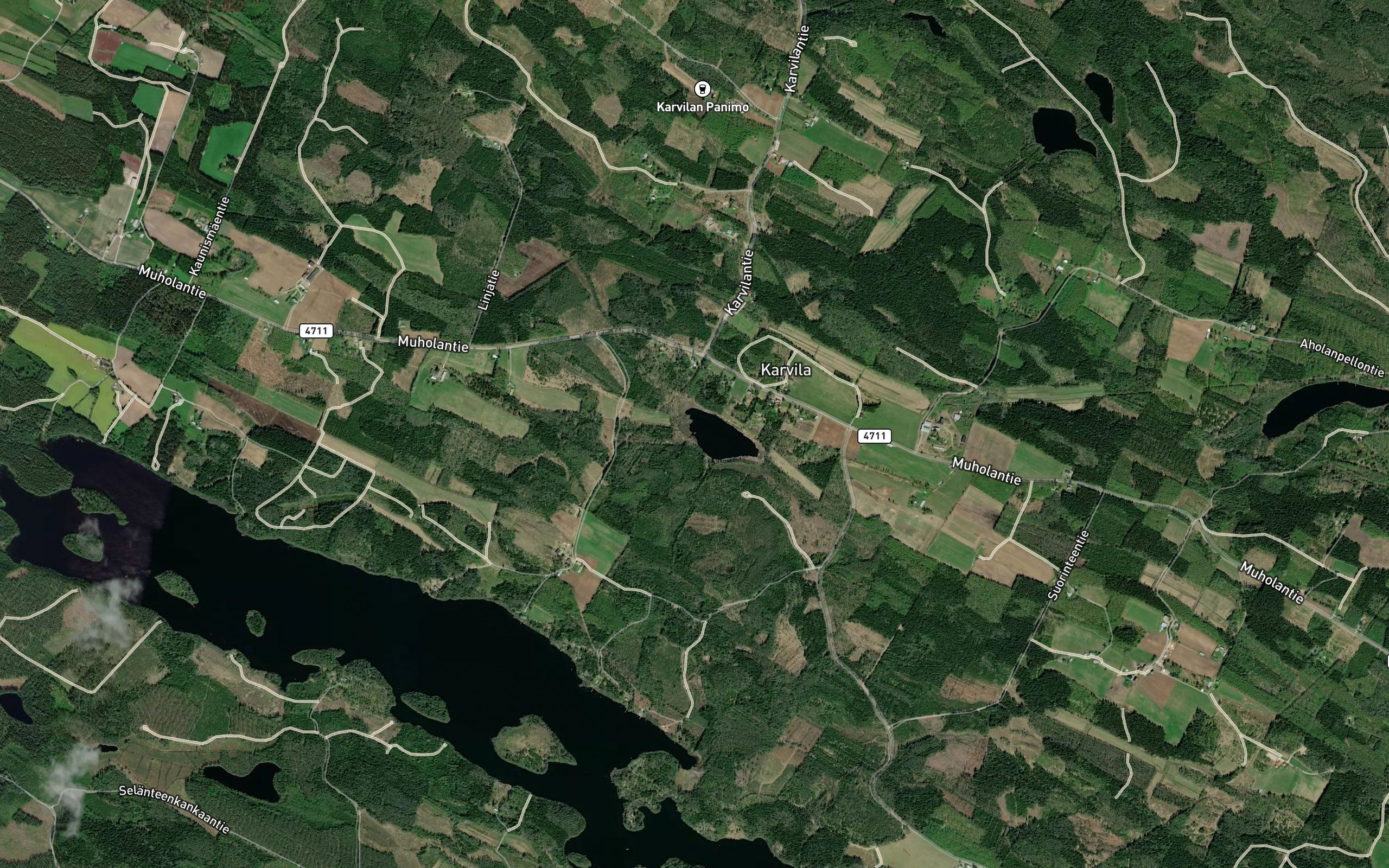 Lehmisjoki