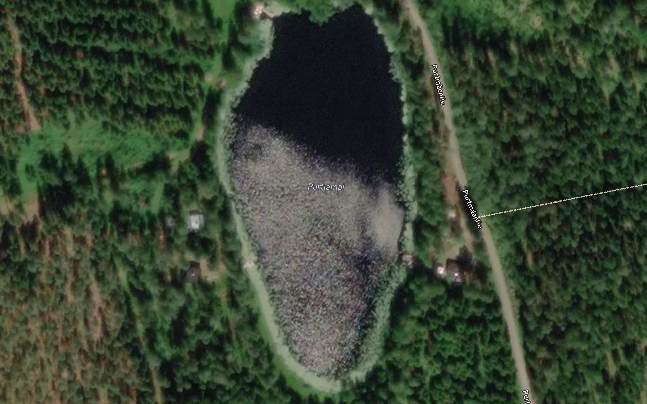 Purtlampi