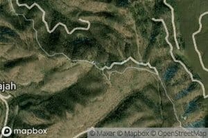 Dwight Shrewsbury Spring