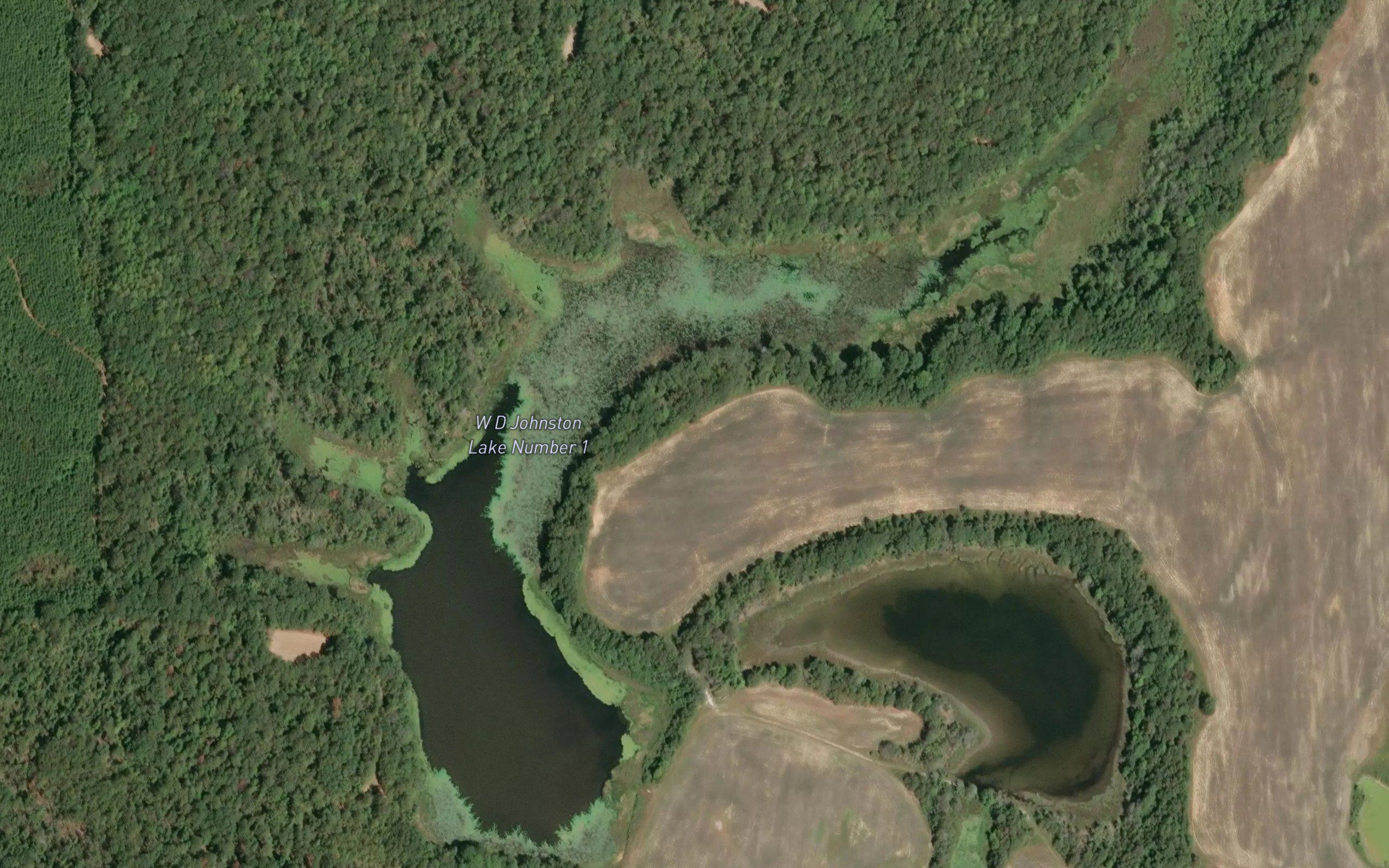 W D Johnston Lake Number 1