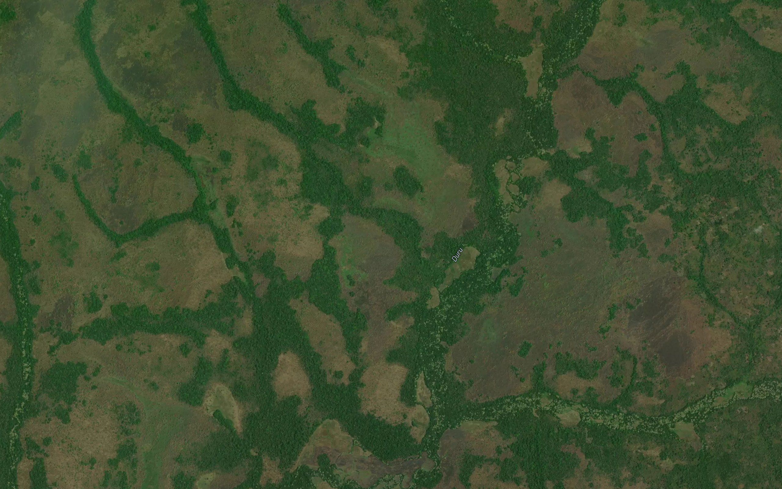 Magwudi