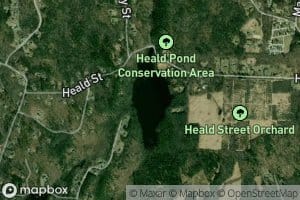 Heald Pond