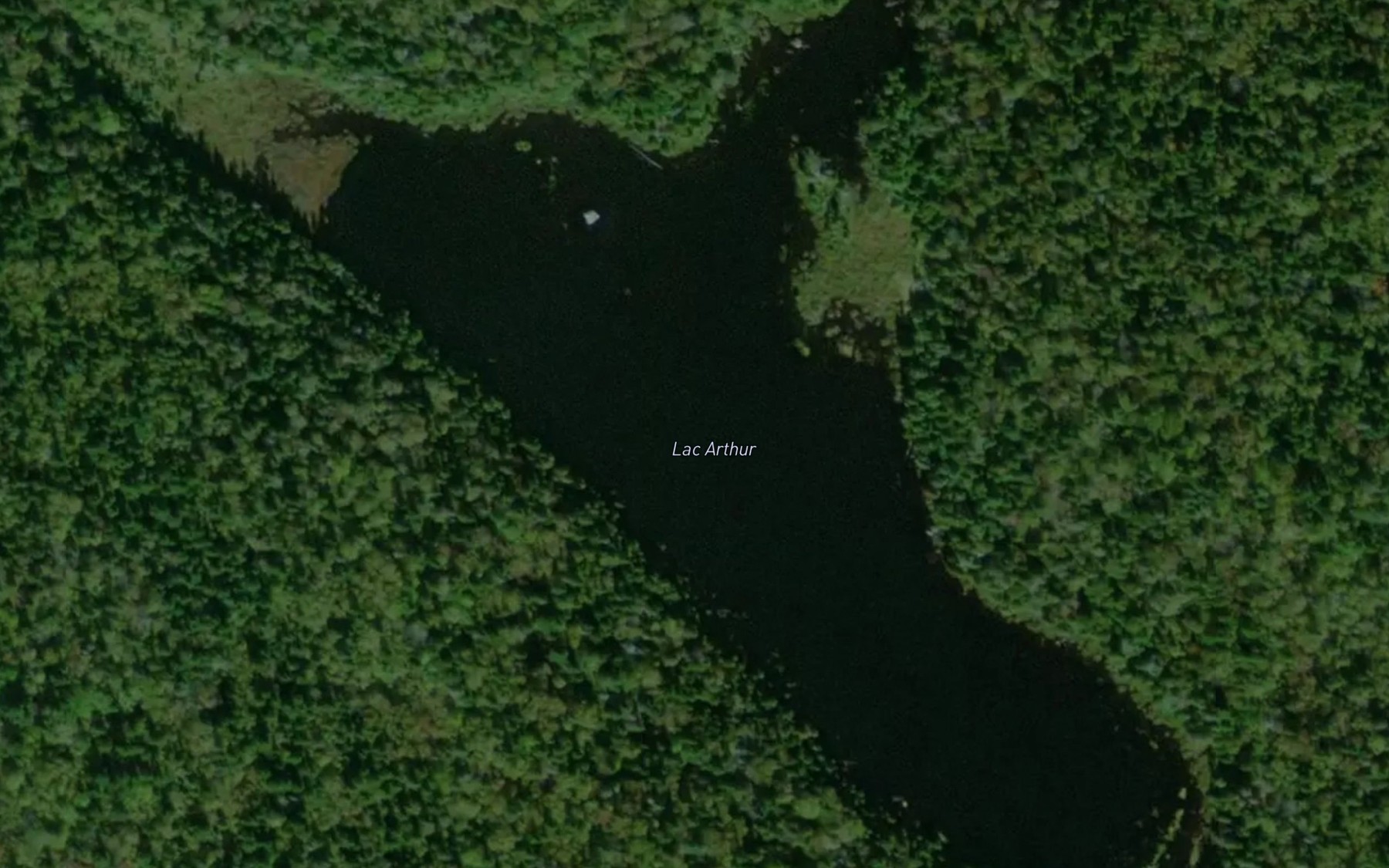 Satellite map of the Lac Arthur