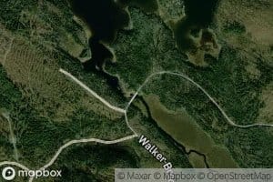 Walker Brook