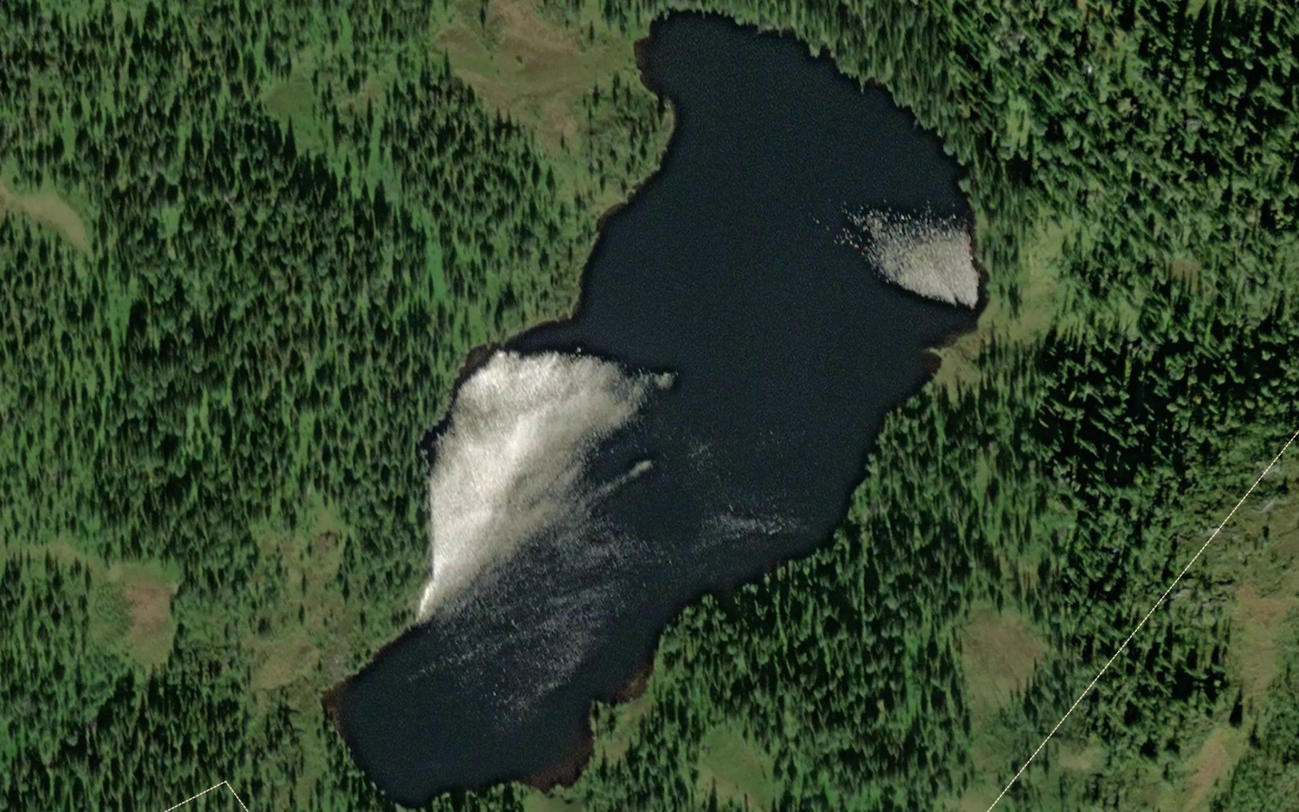 Fugleleiktjorna