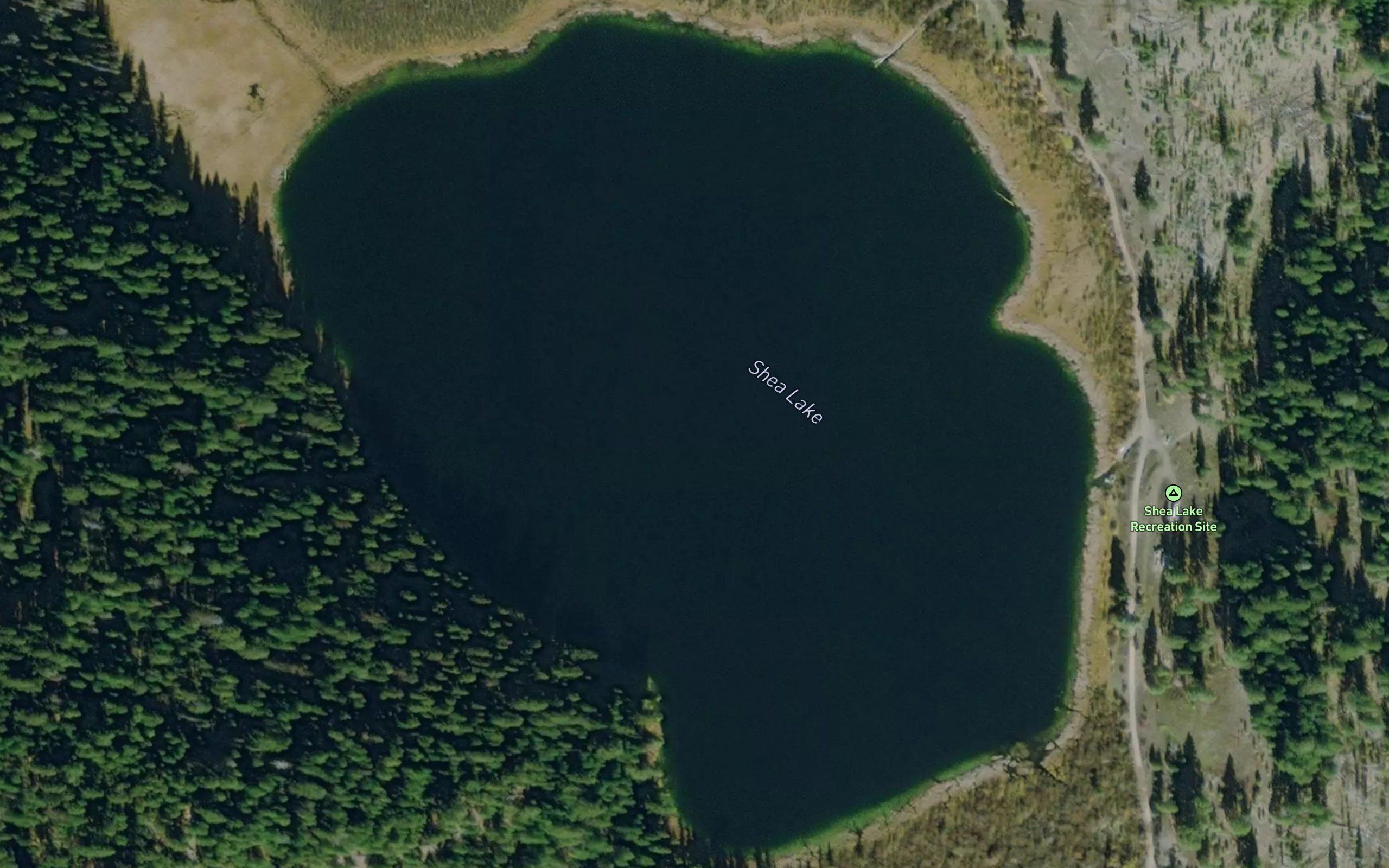 Shea Lake