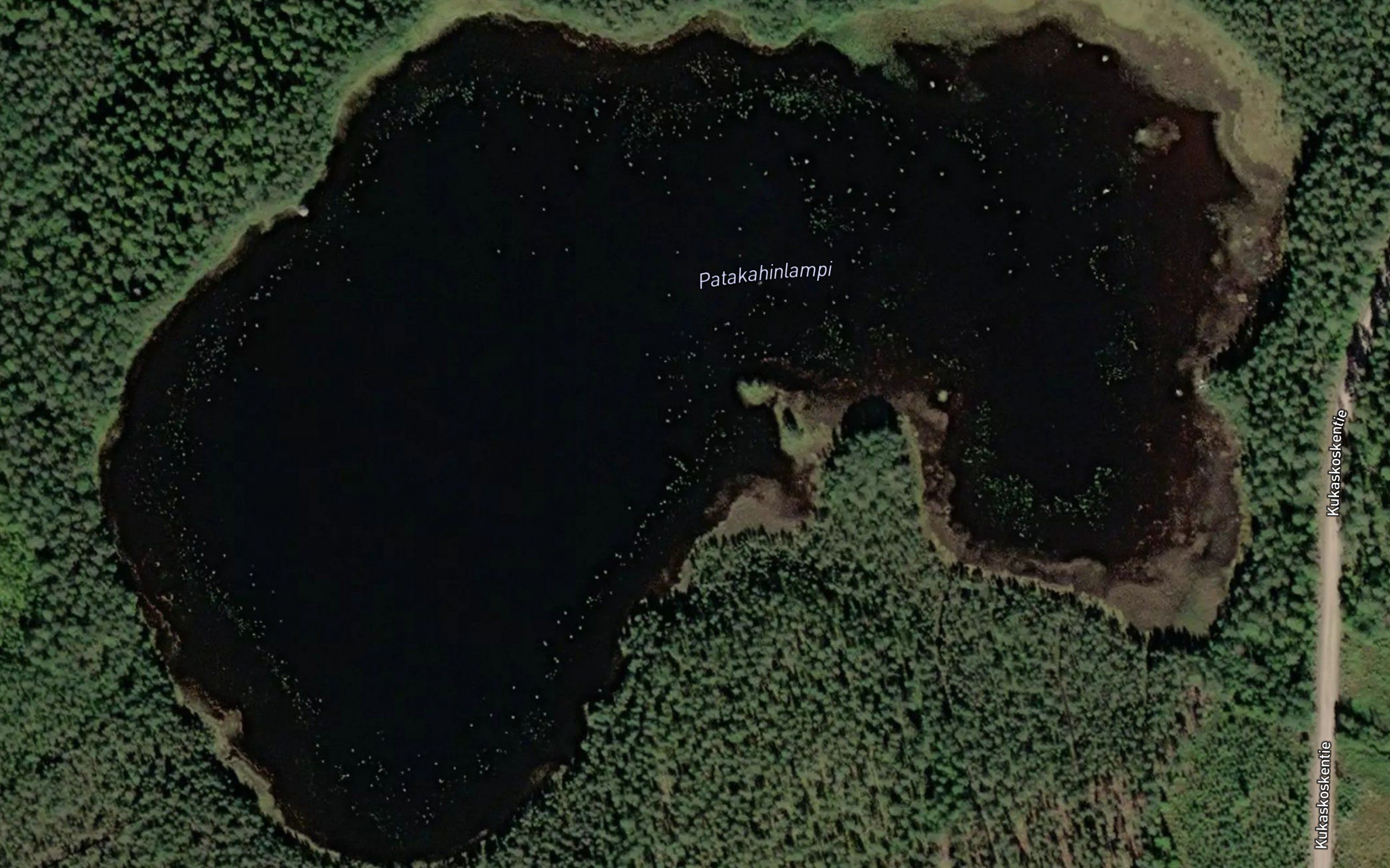 Patakahinlampi