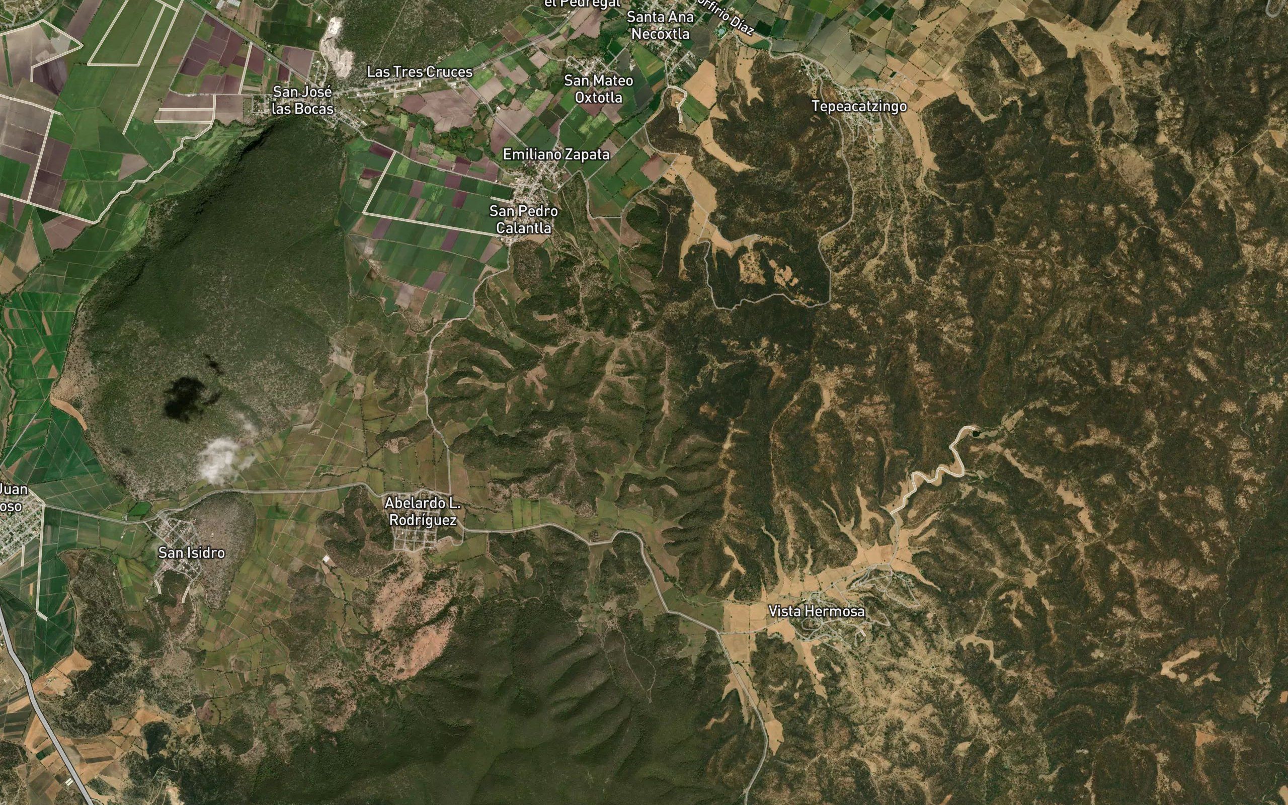 El Zorrillo