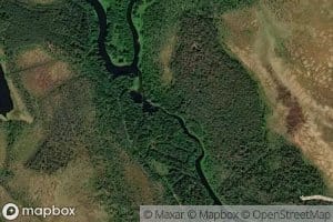Suukongas