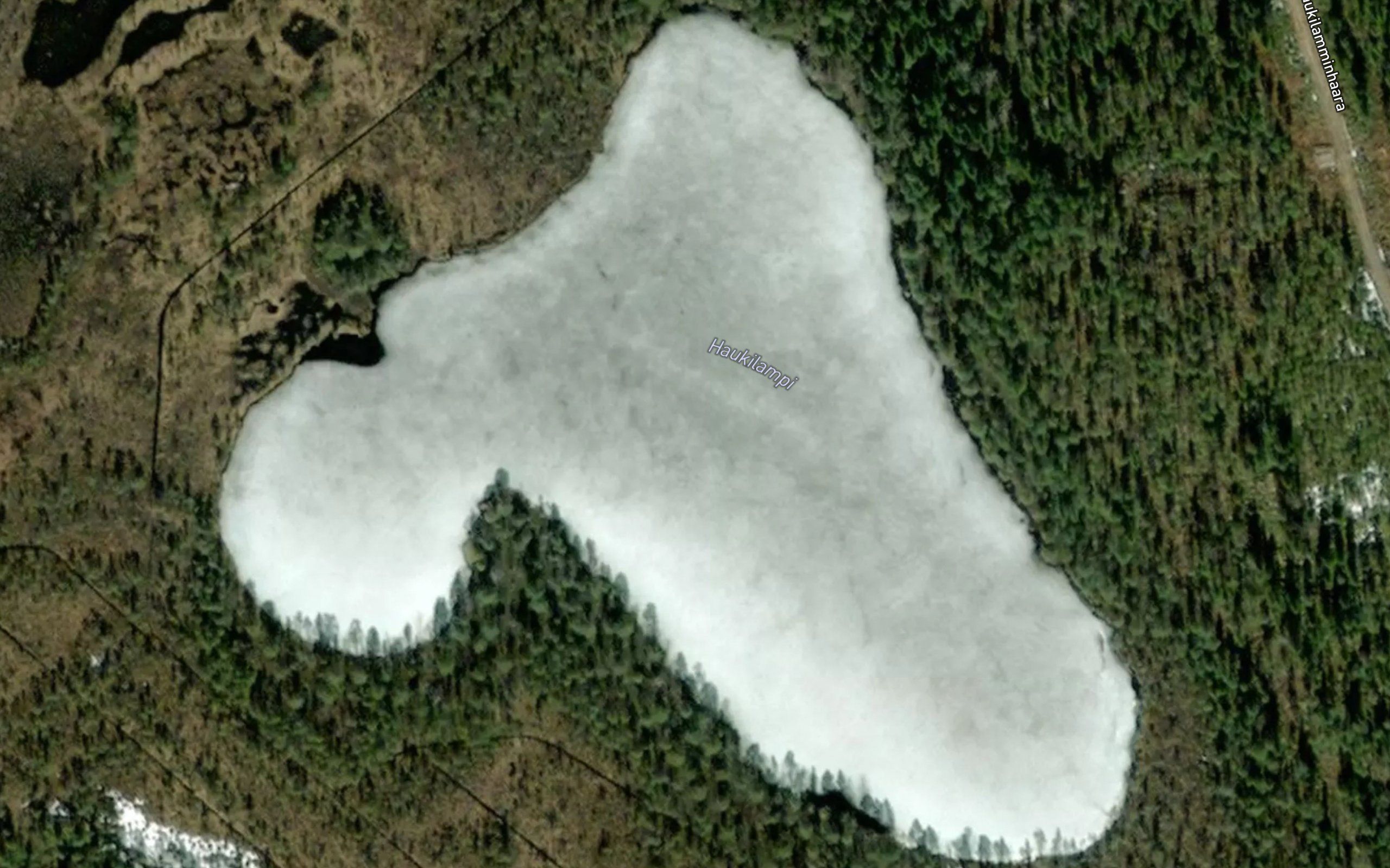 Haukilampi