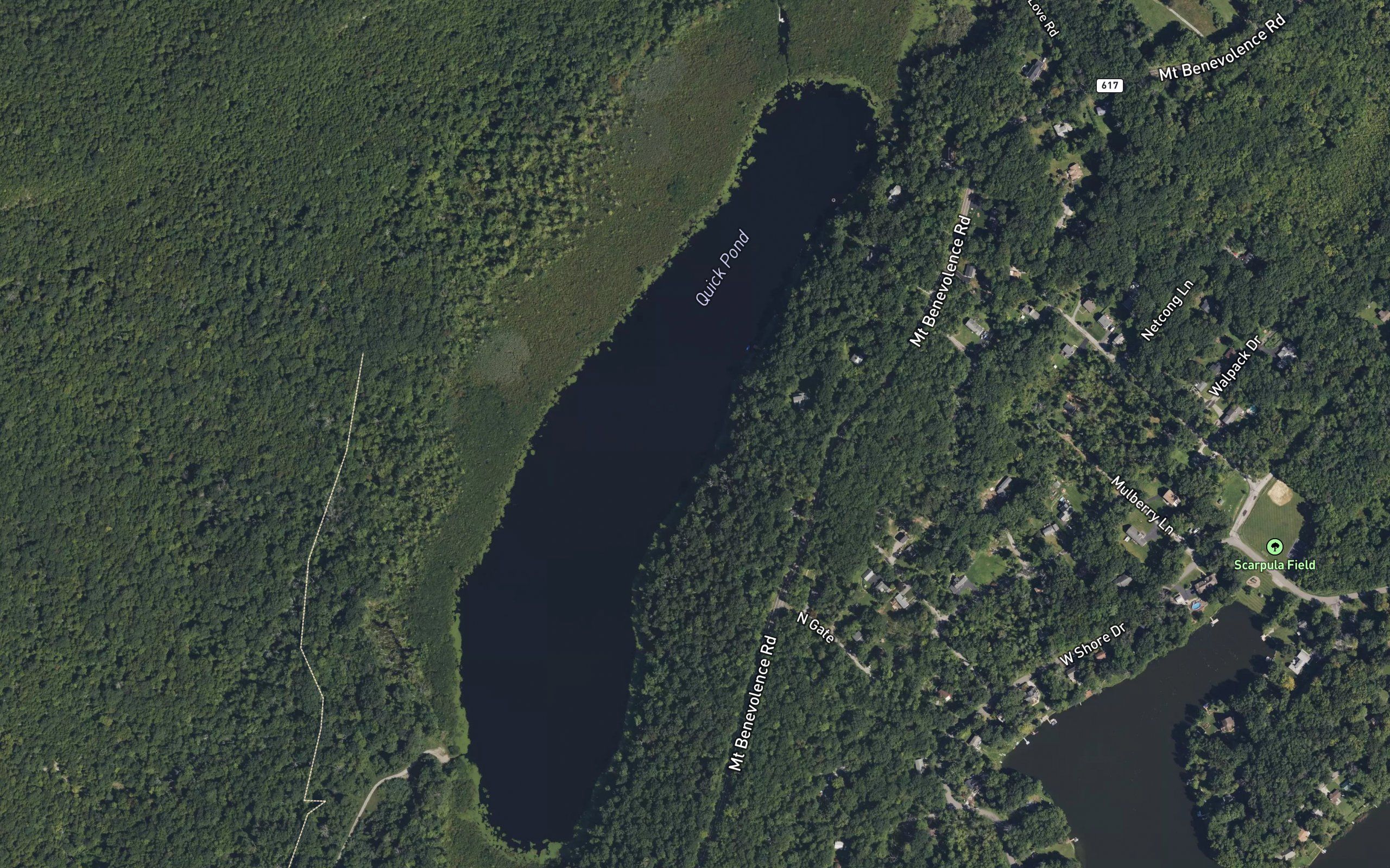 Quick Pond