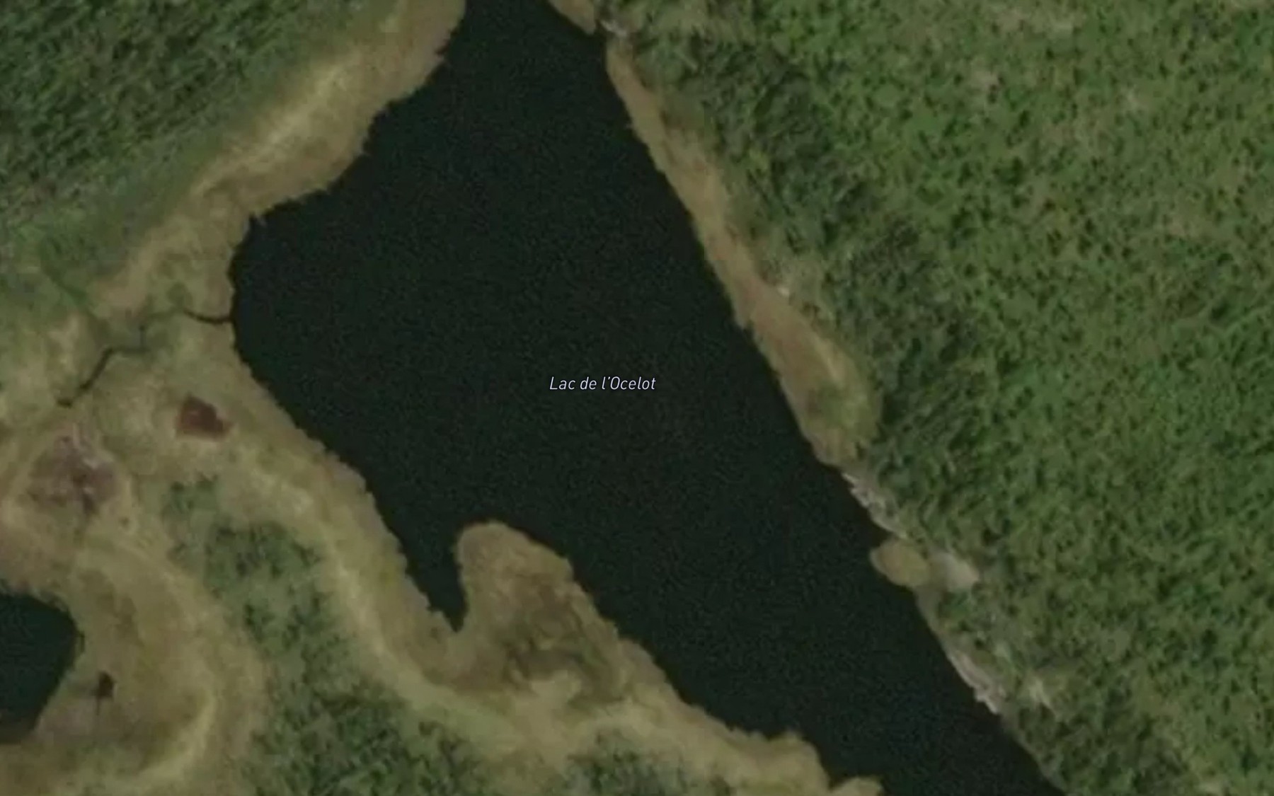 Satellite map of the Lac de l'Ocelot