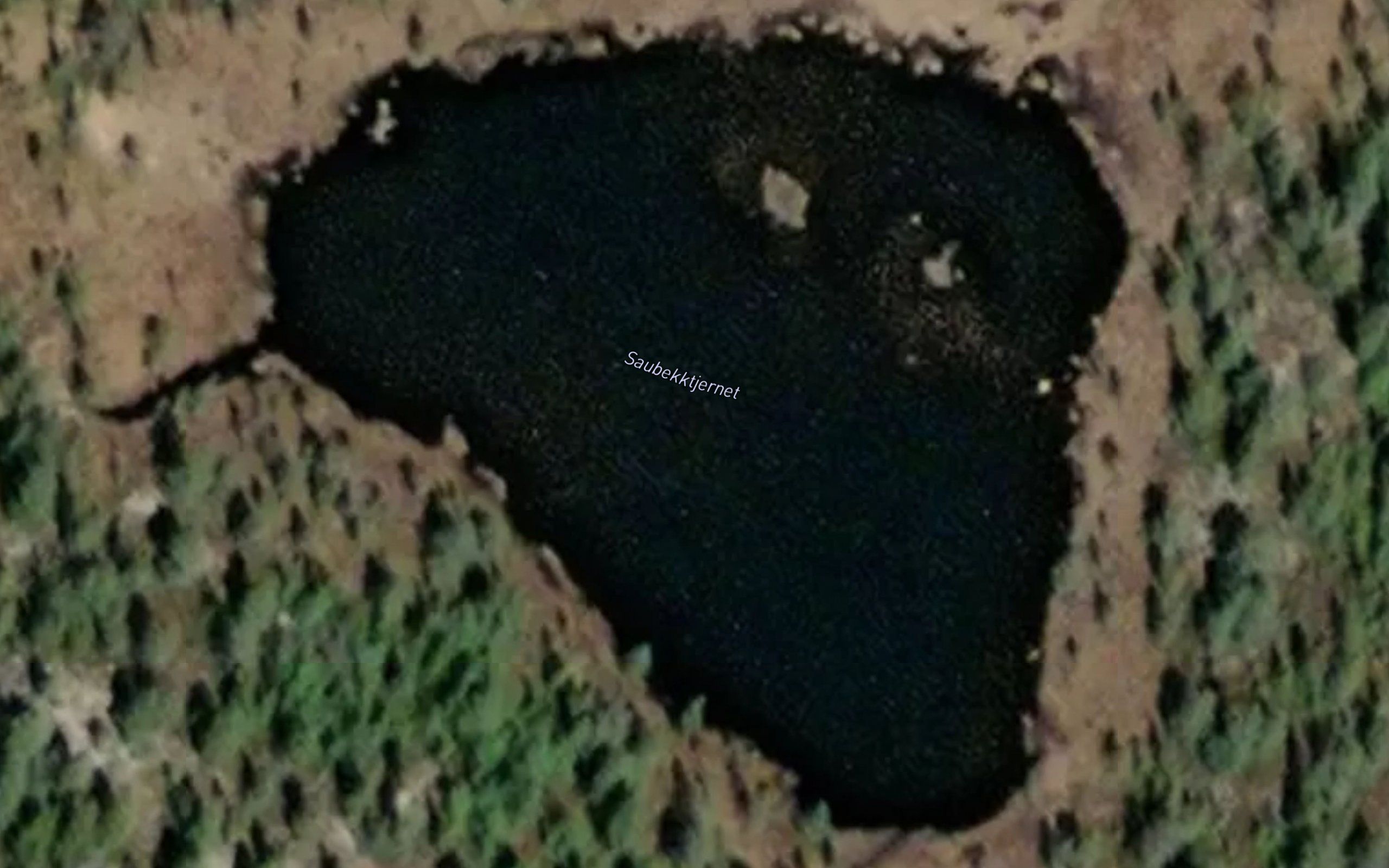 Saubekktjernet