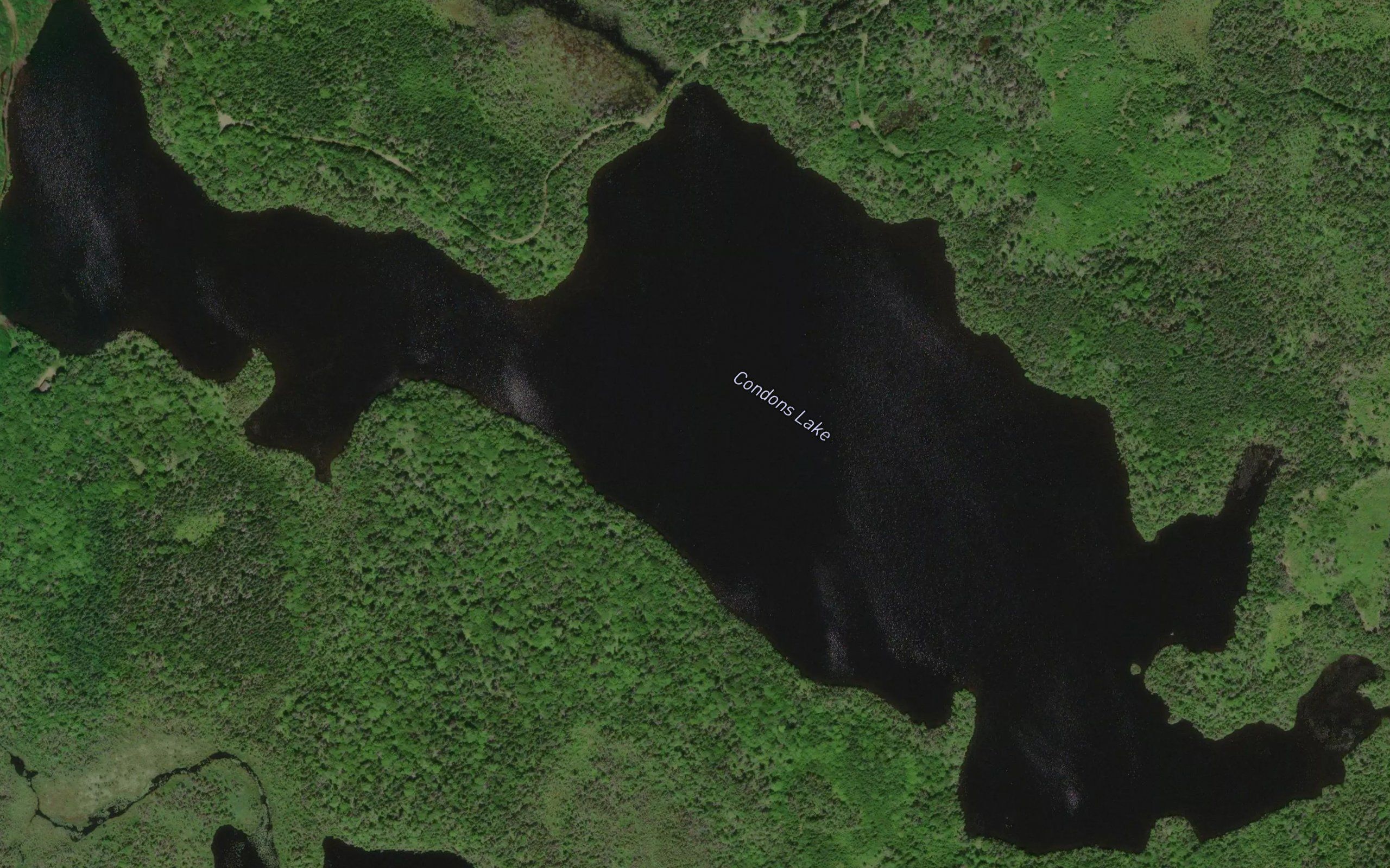 Condons Lake