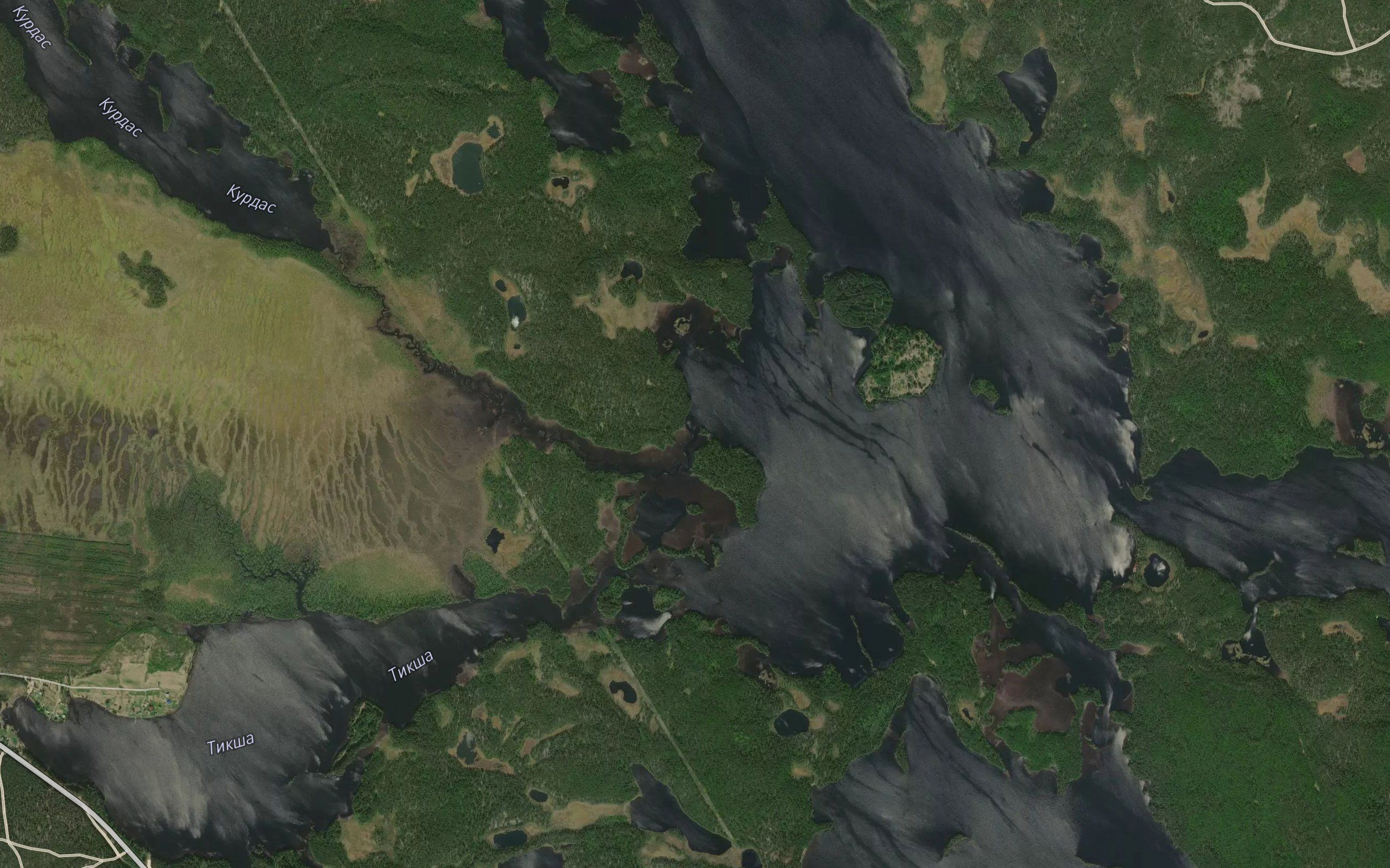 Kurdas