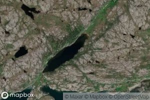 Kattugletjorna