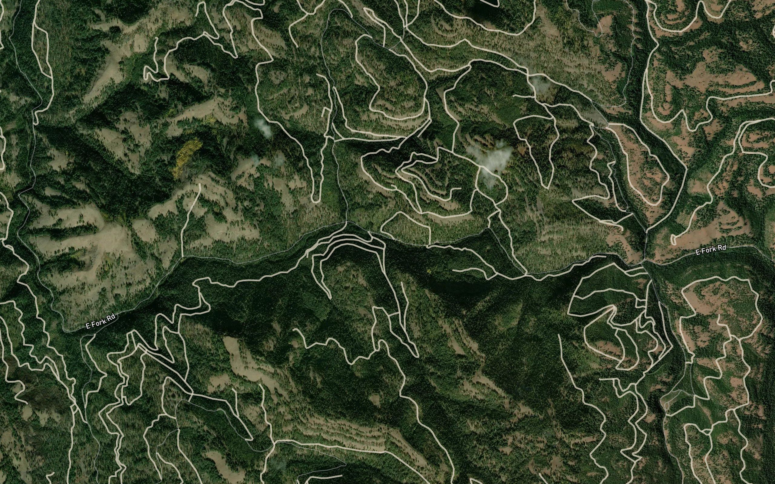 Cold Spring Creek