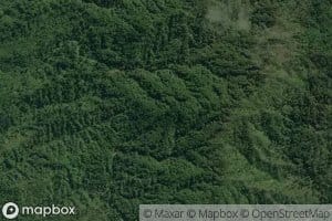 Left Branch Break Creek