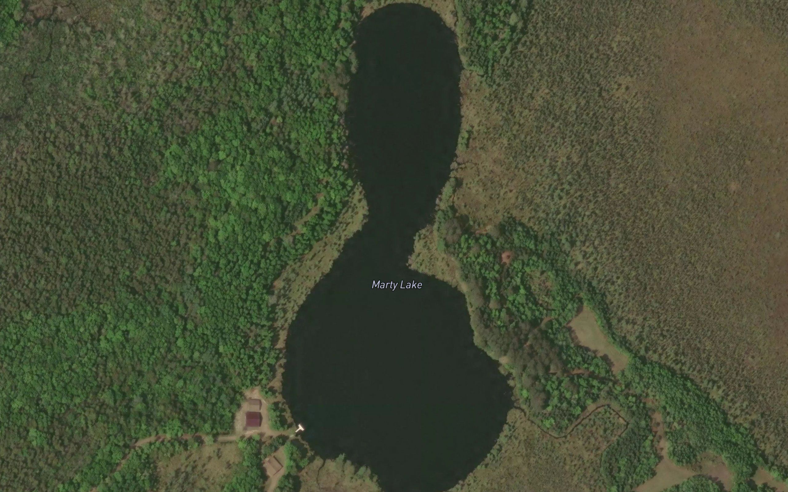 Marty Lake