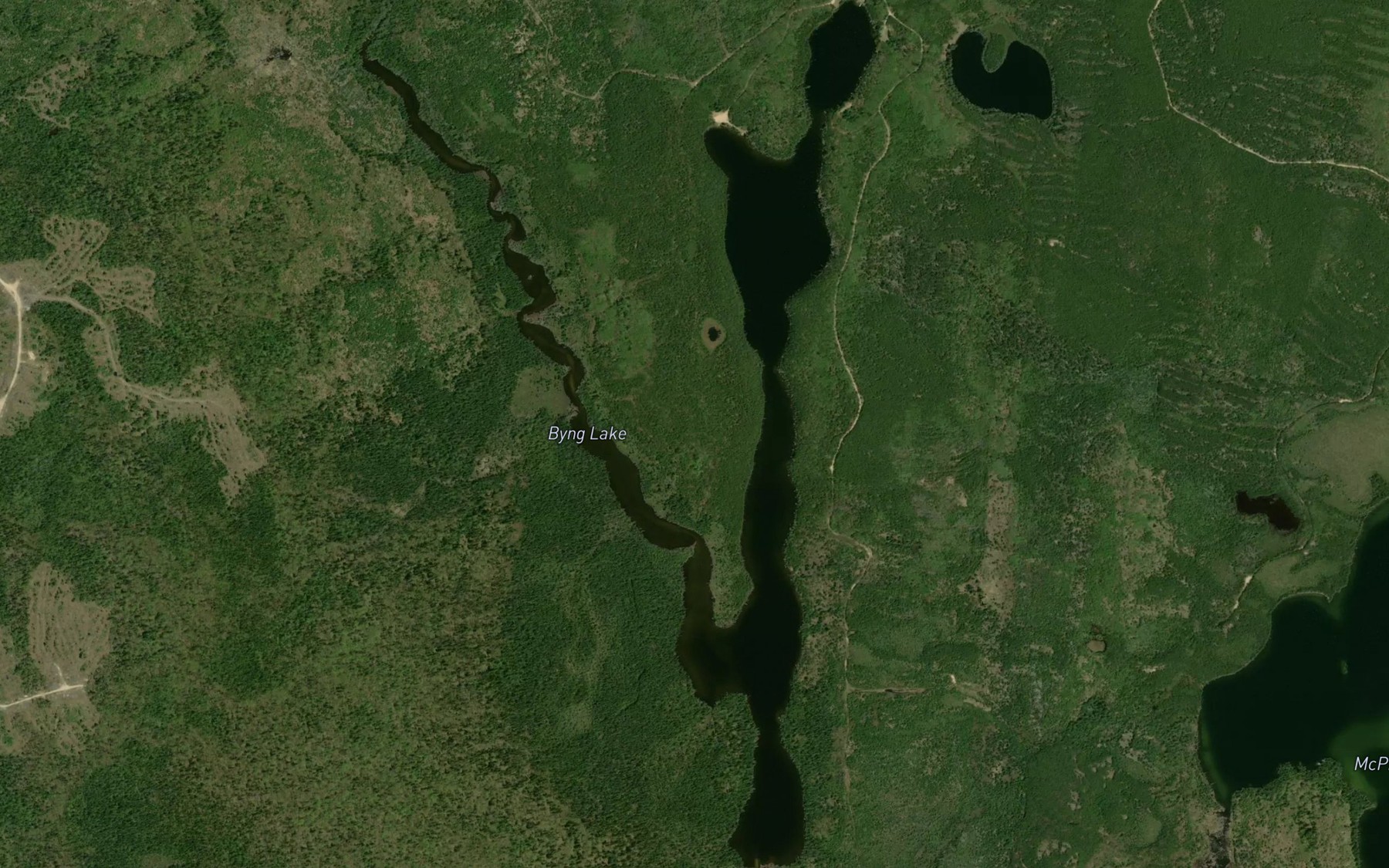 Satellite map of the Byng Lake