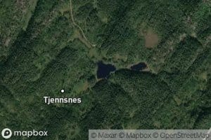 Kjensnestjornane