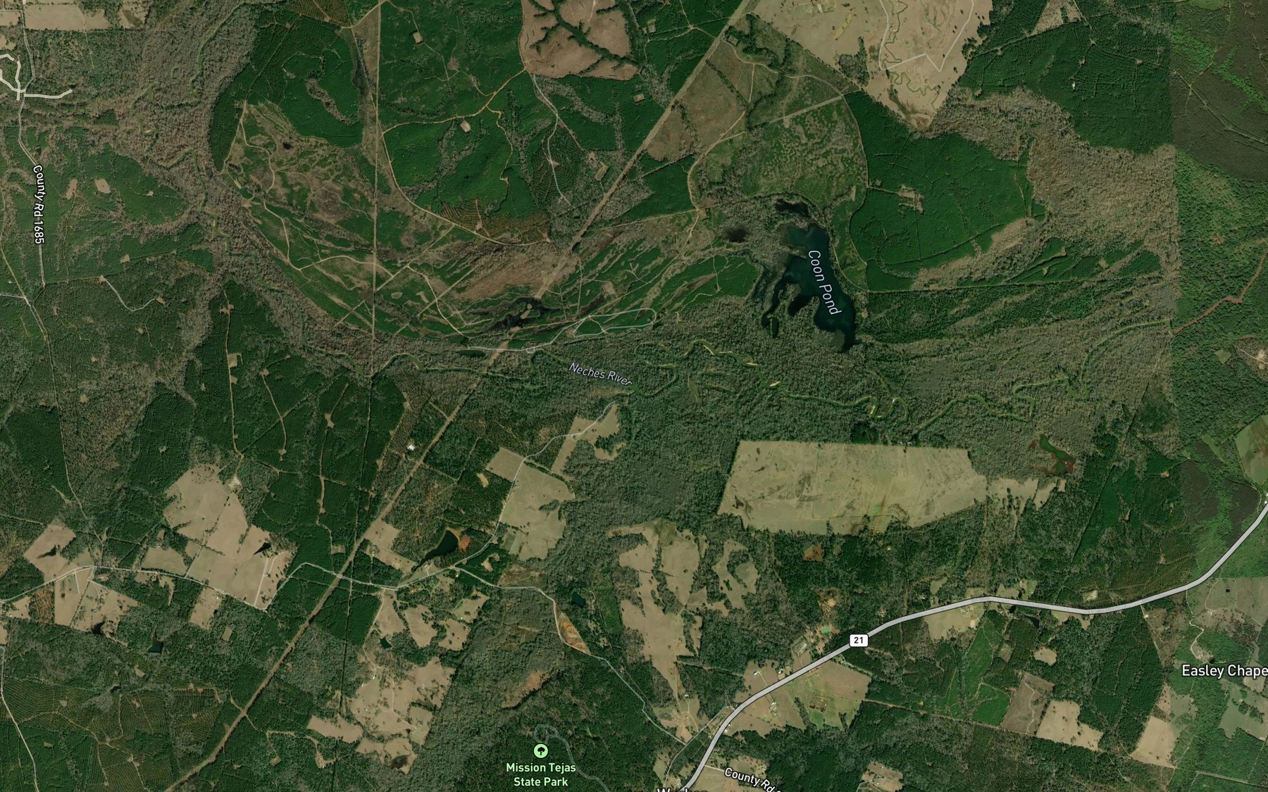Satellite map of the San Pedro Creek
