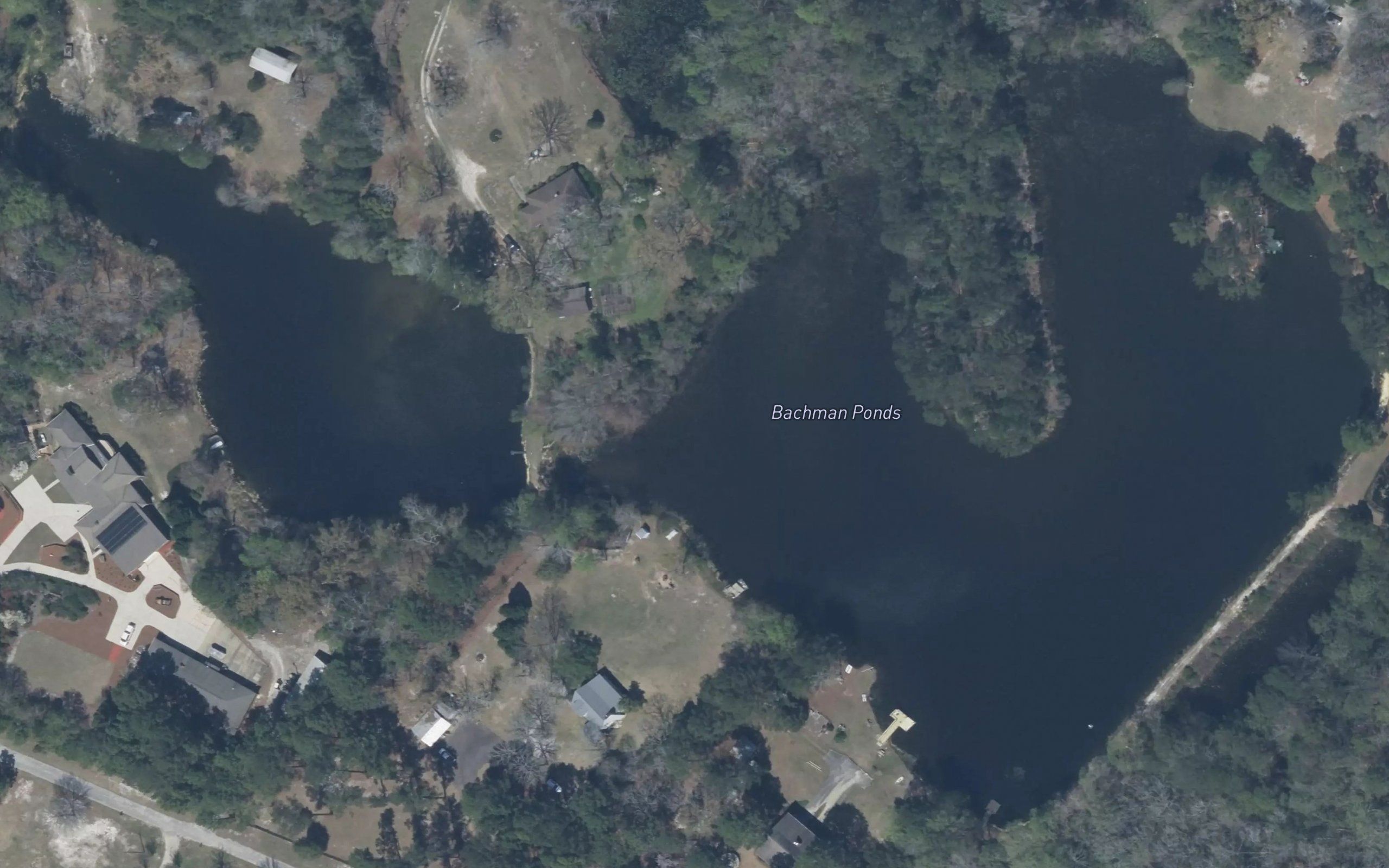 Bachman Ponds