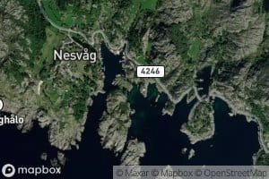 Nesbukta