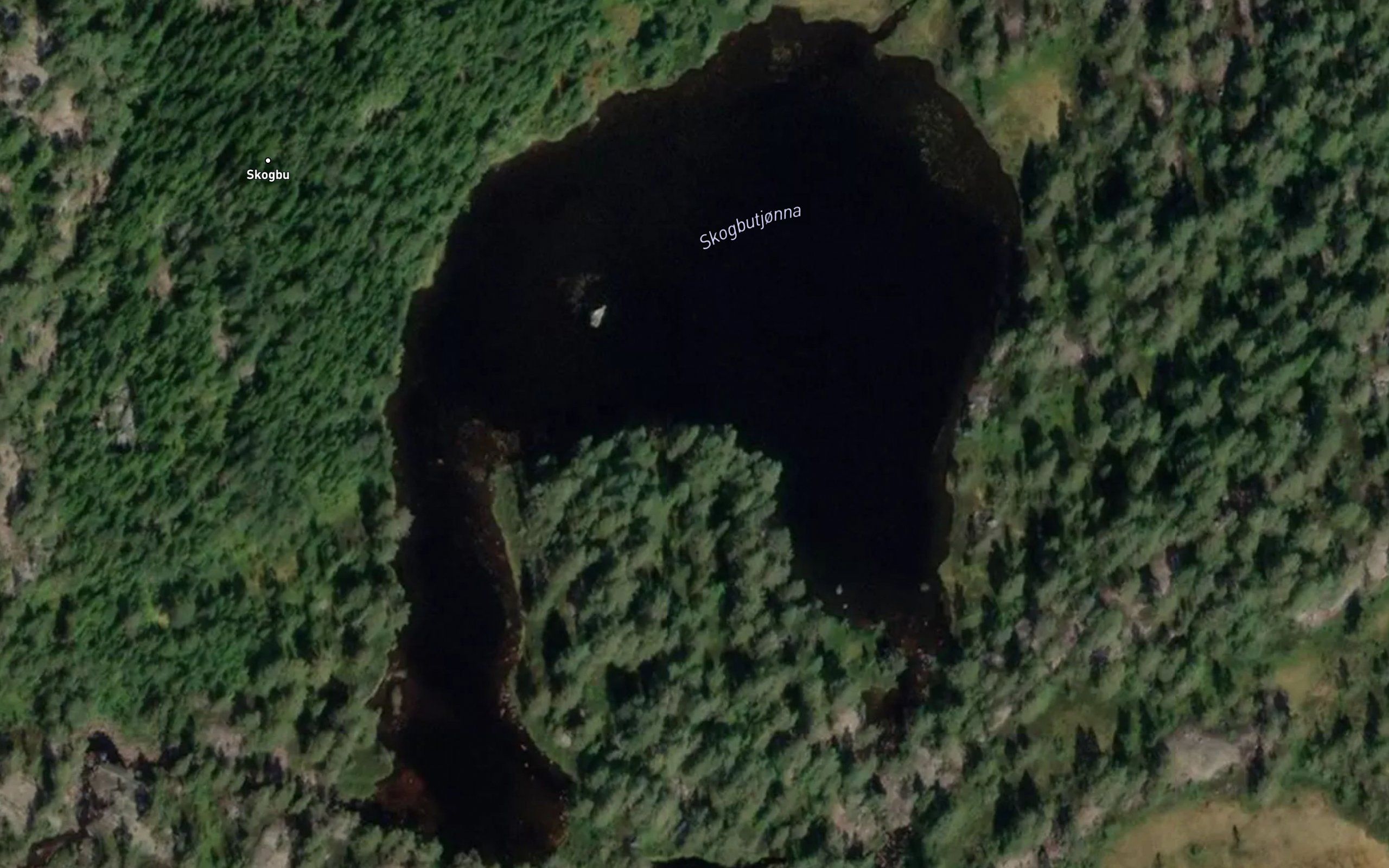 Skogbutjorna