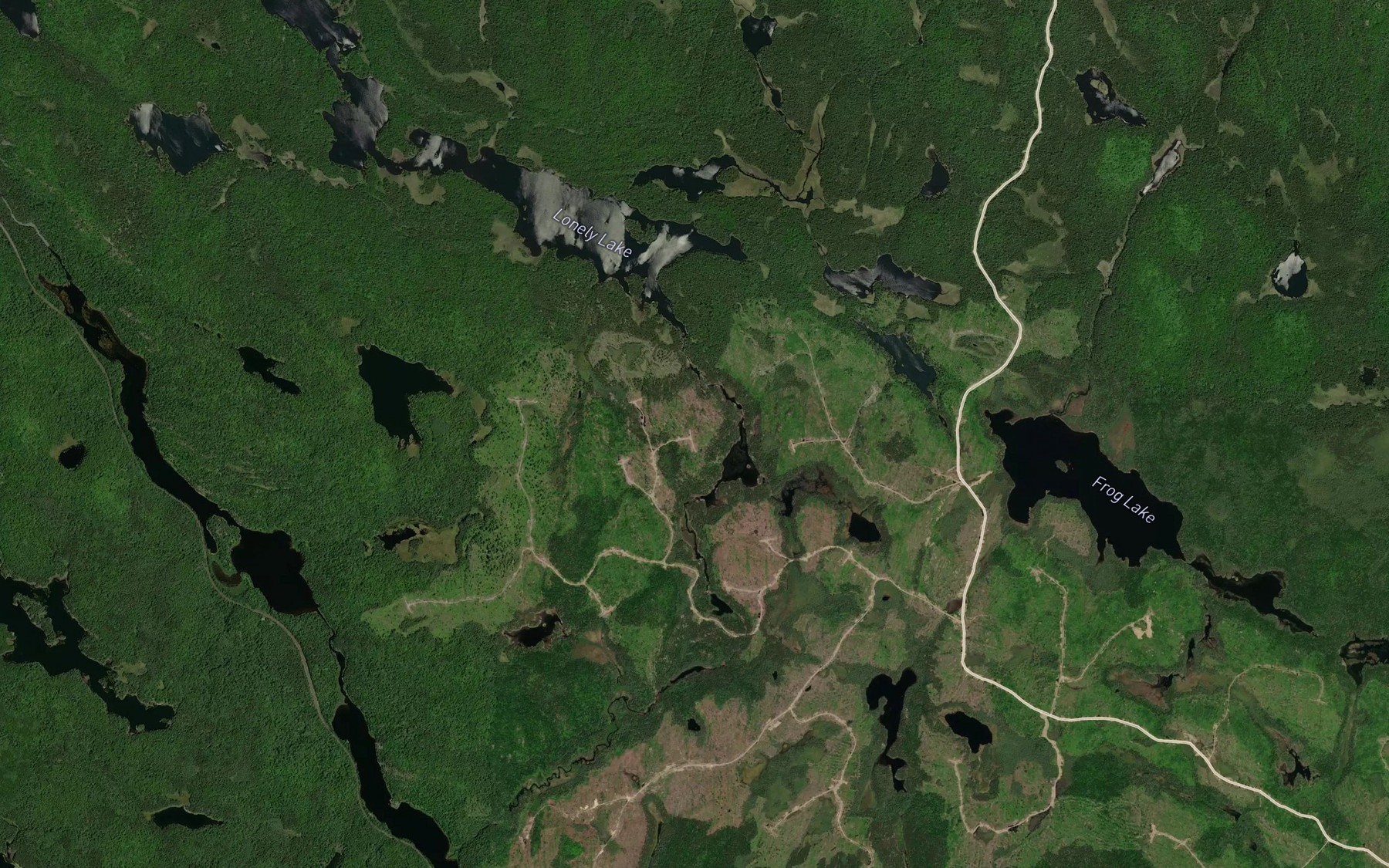 Satellite map of the Lonely Creek