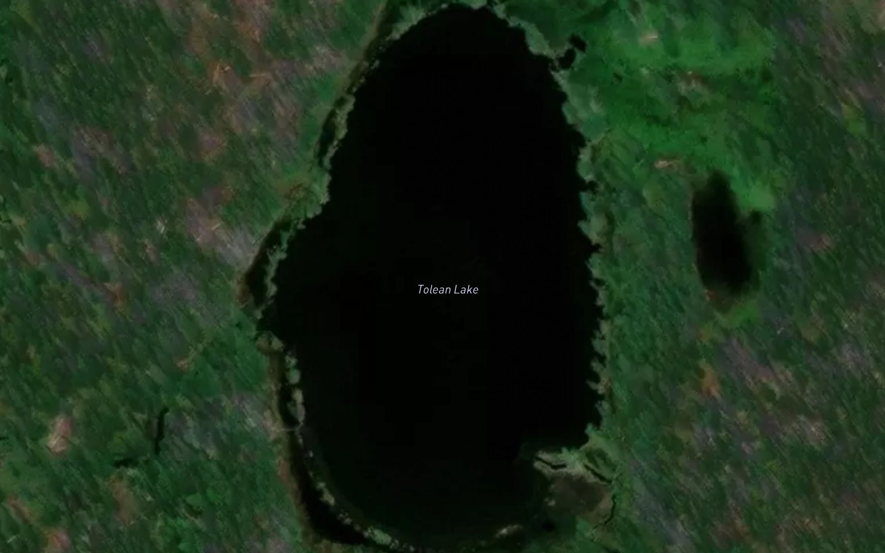 Satellite map of the Tolean Lake