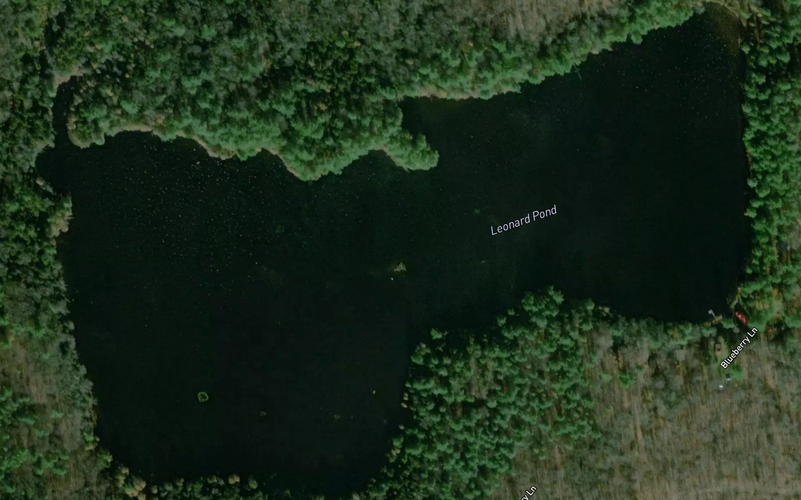 Leonard Pond