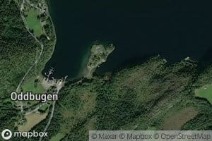 Litlbugen