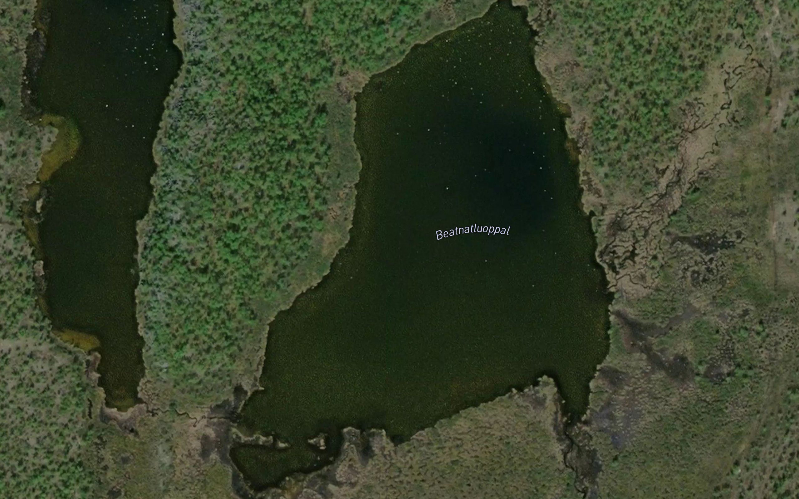 Baednatluobbal