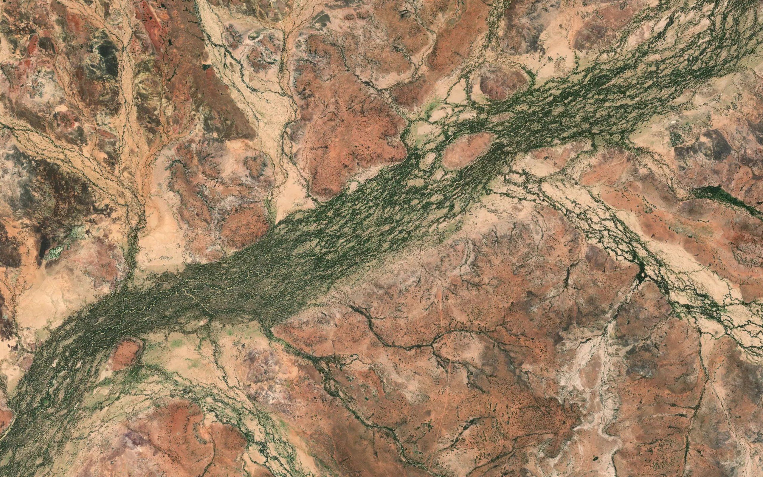 Muckley Creek