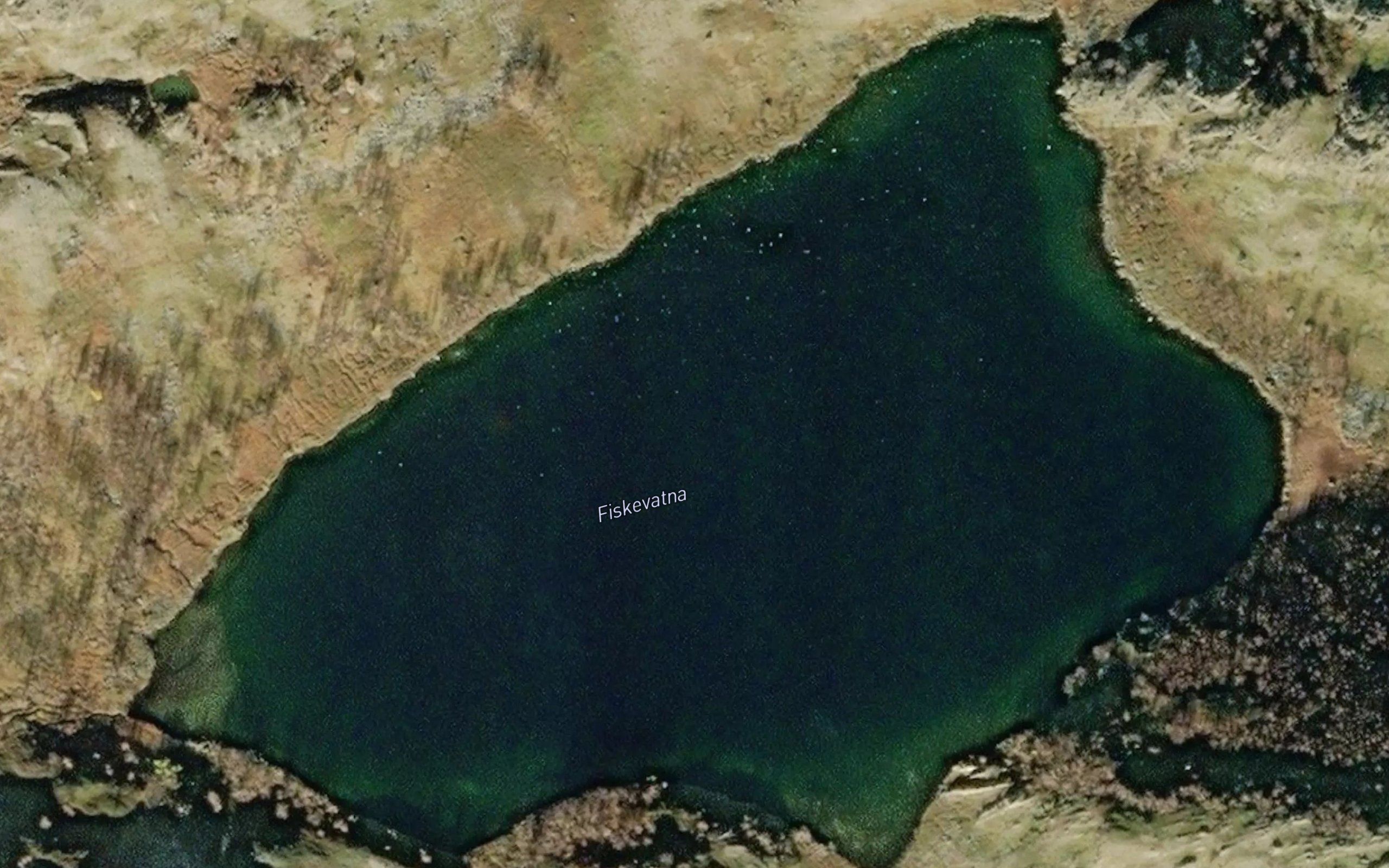 Fiskevatna