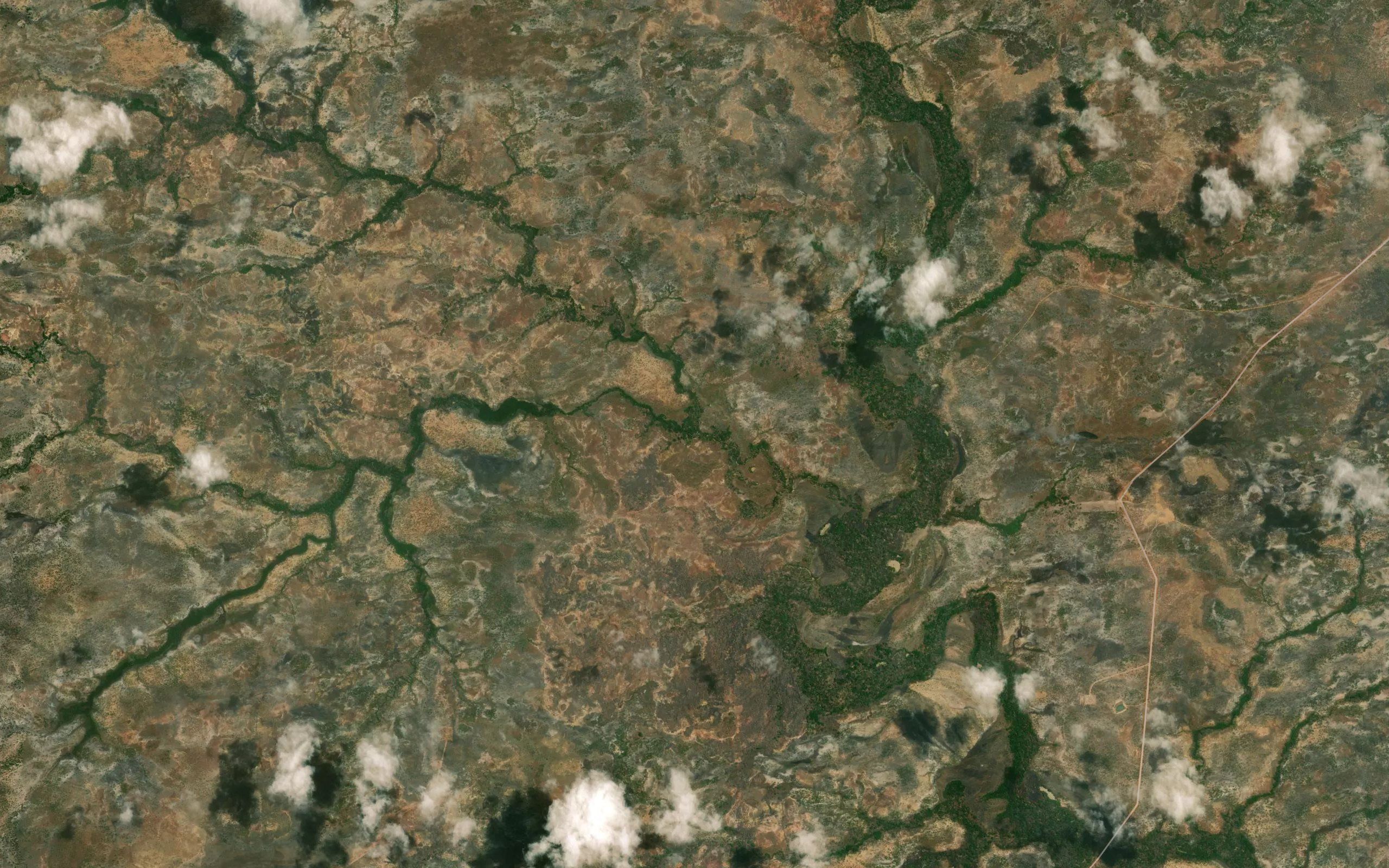 Morichal La Palmita