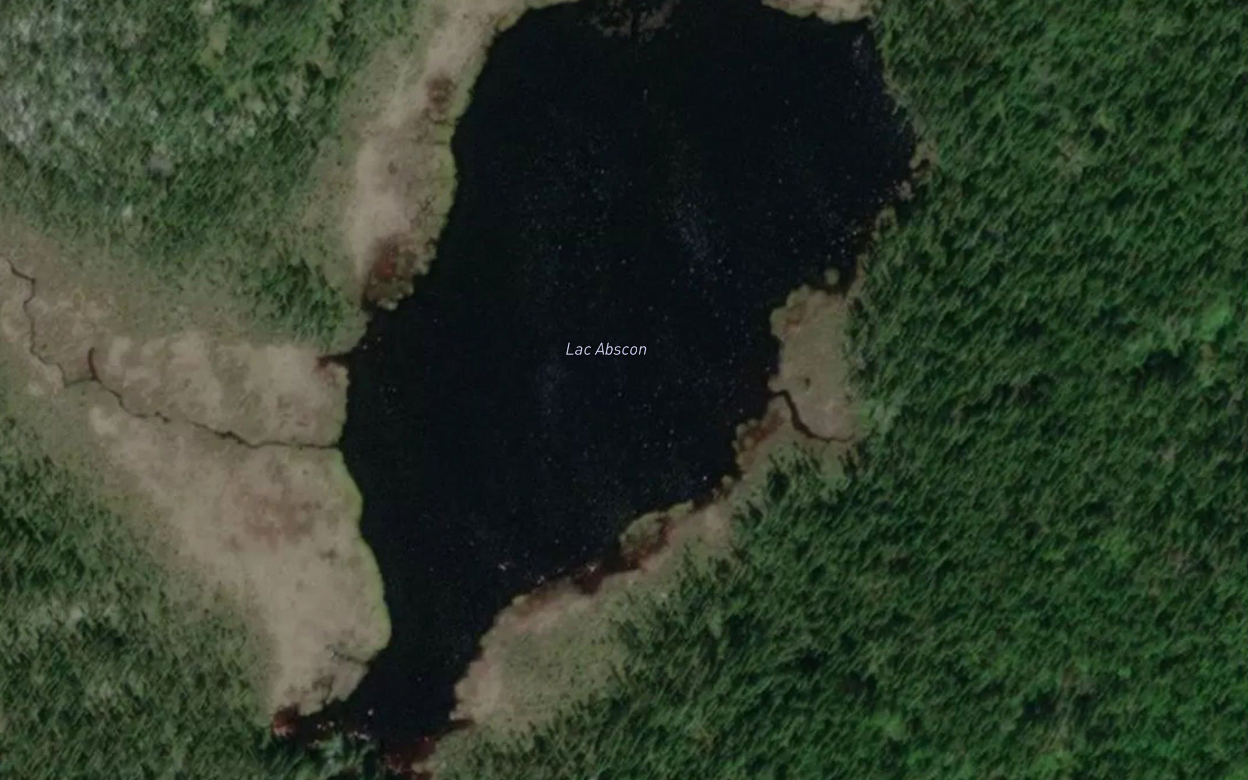 Lac Abscon