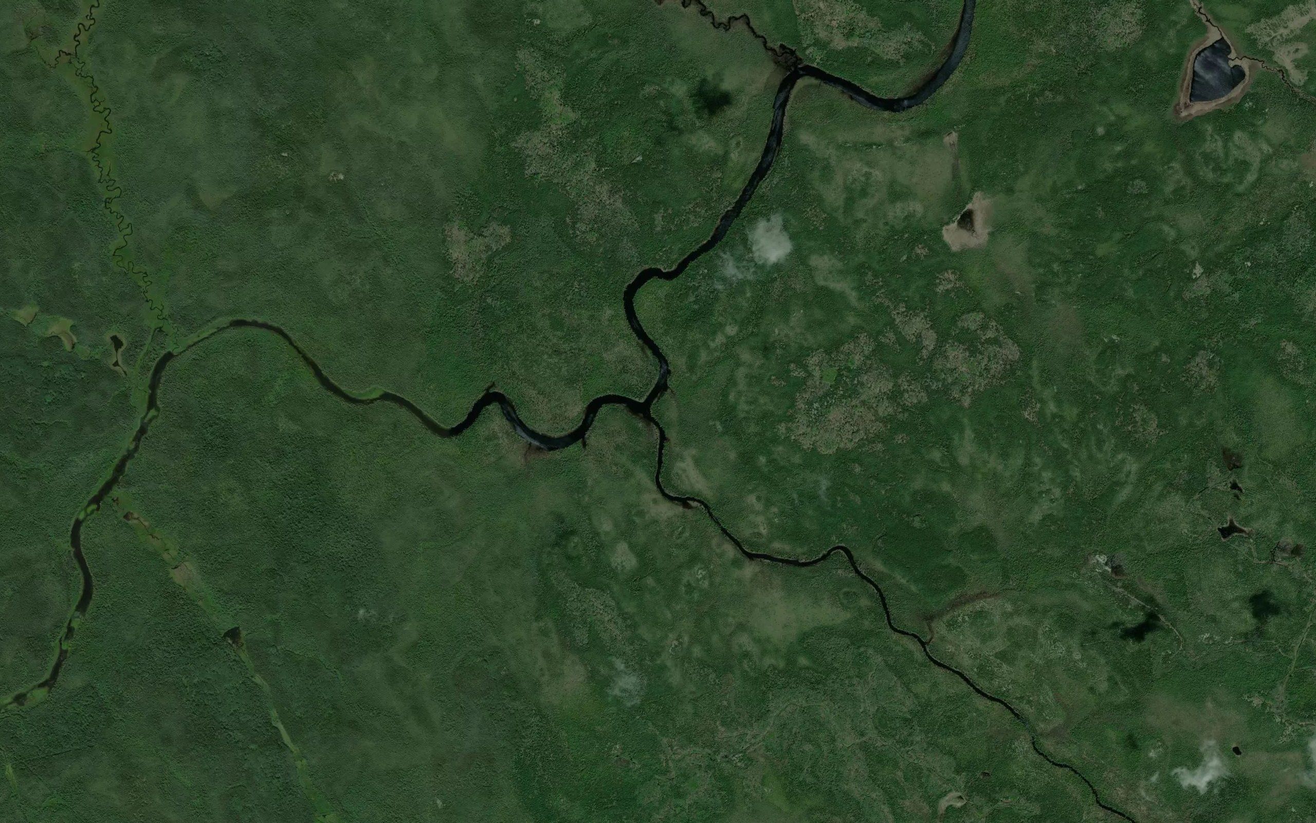 Beaver Forks