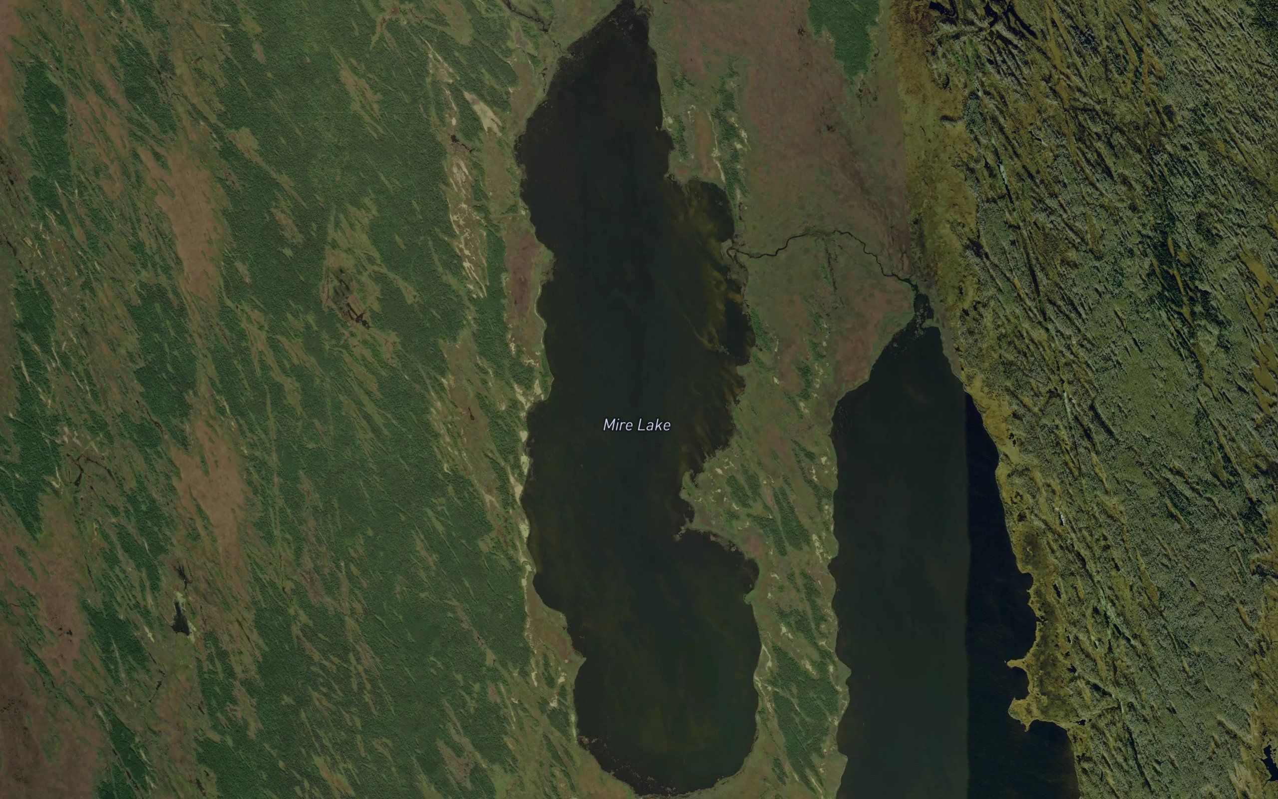 Mire Lake