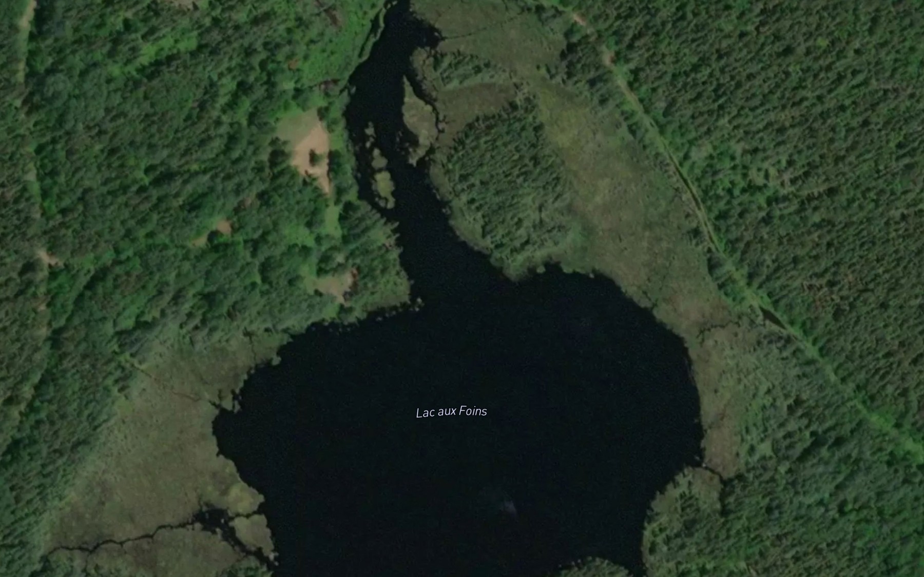 Satellite map of the Lac Verreau