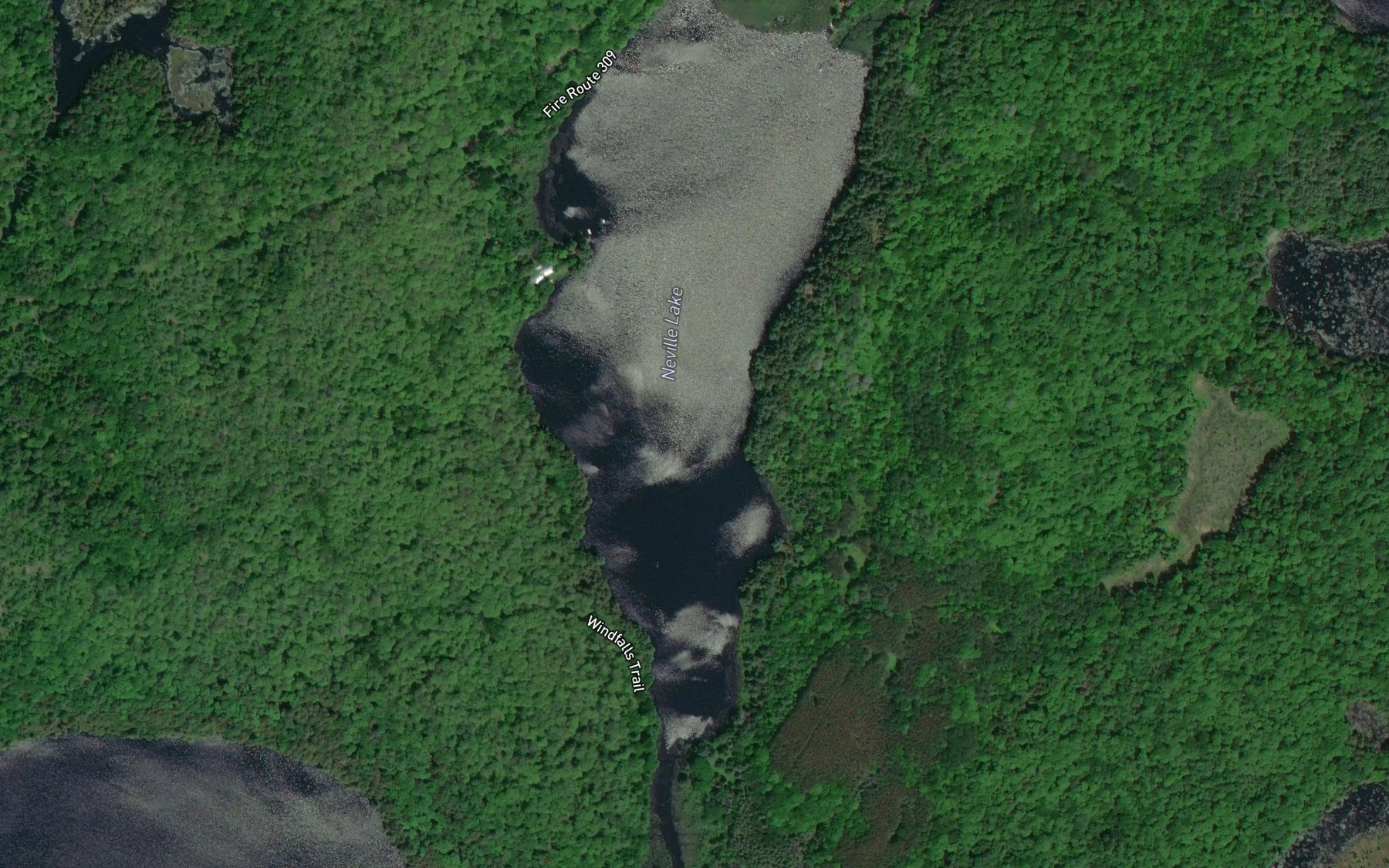 Satellite map of the Neville Lake