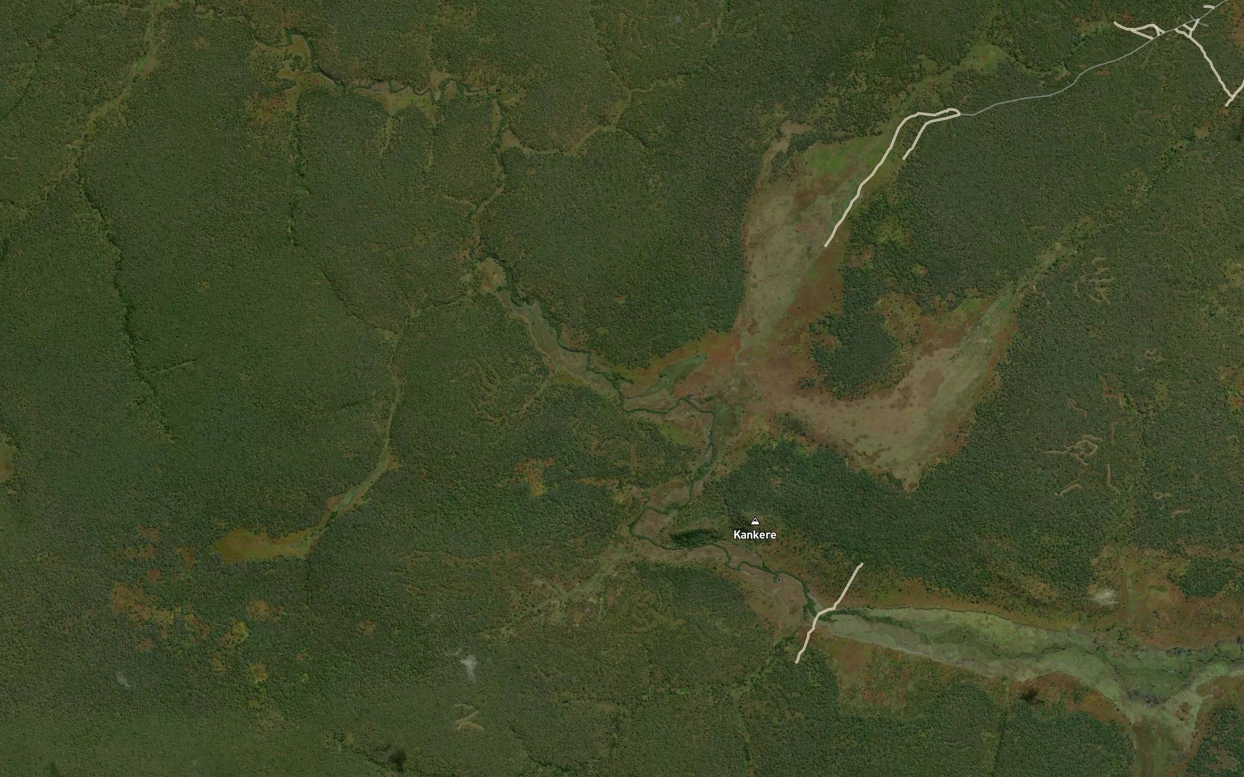 Kikudzi