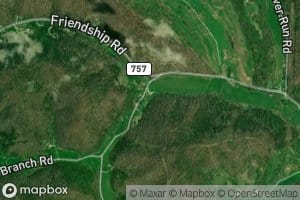 Dog Fork